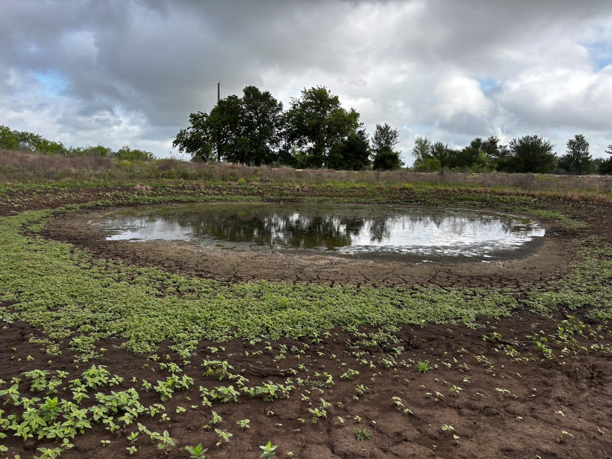 747 County Road 467, Thrall, TX 76578