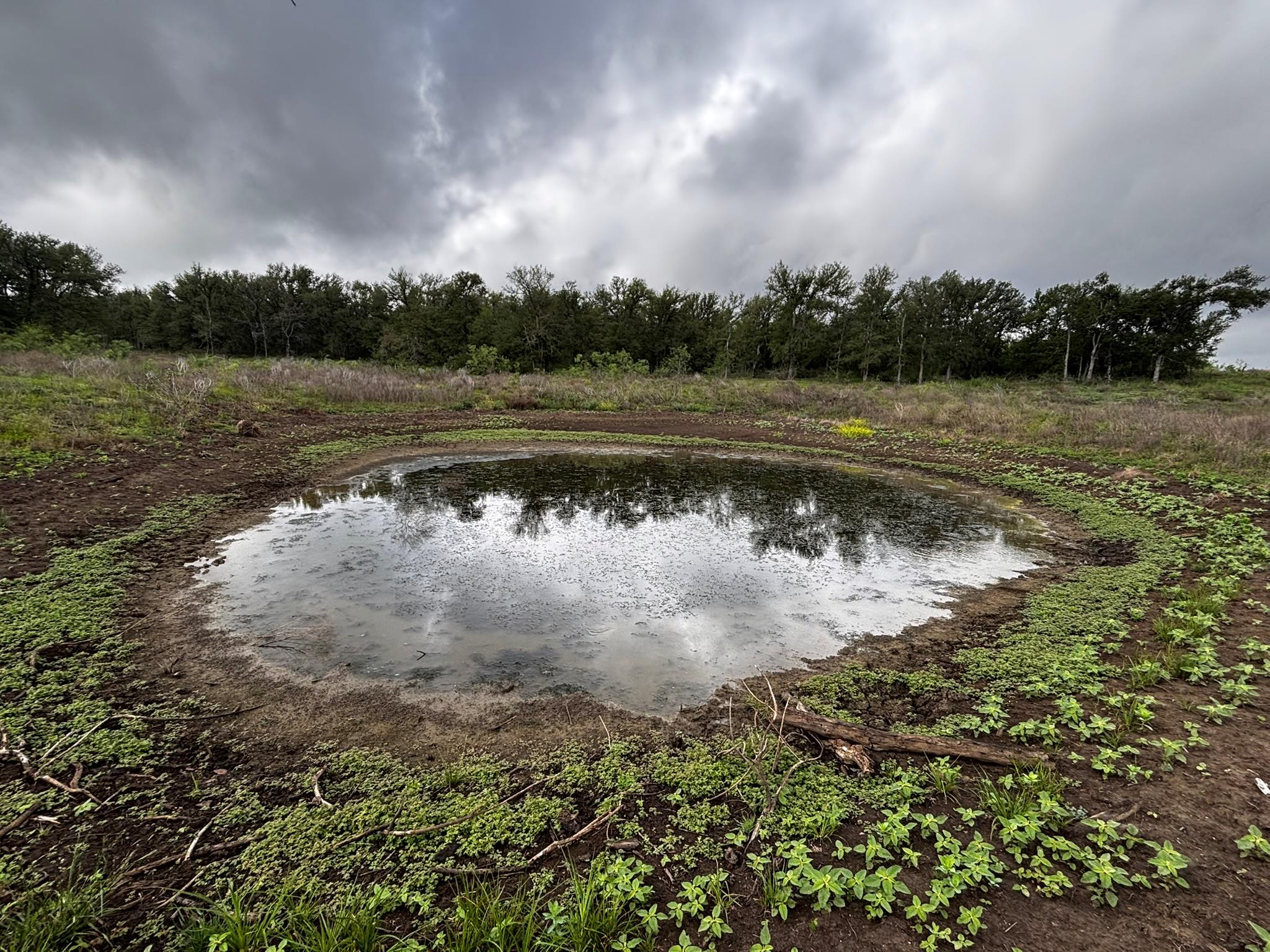 747 County Road 467, Thrall, TX 76578