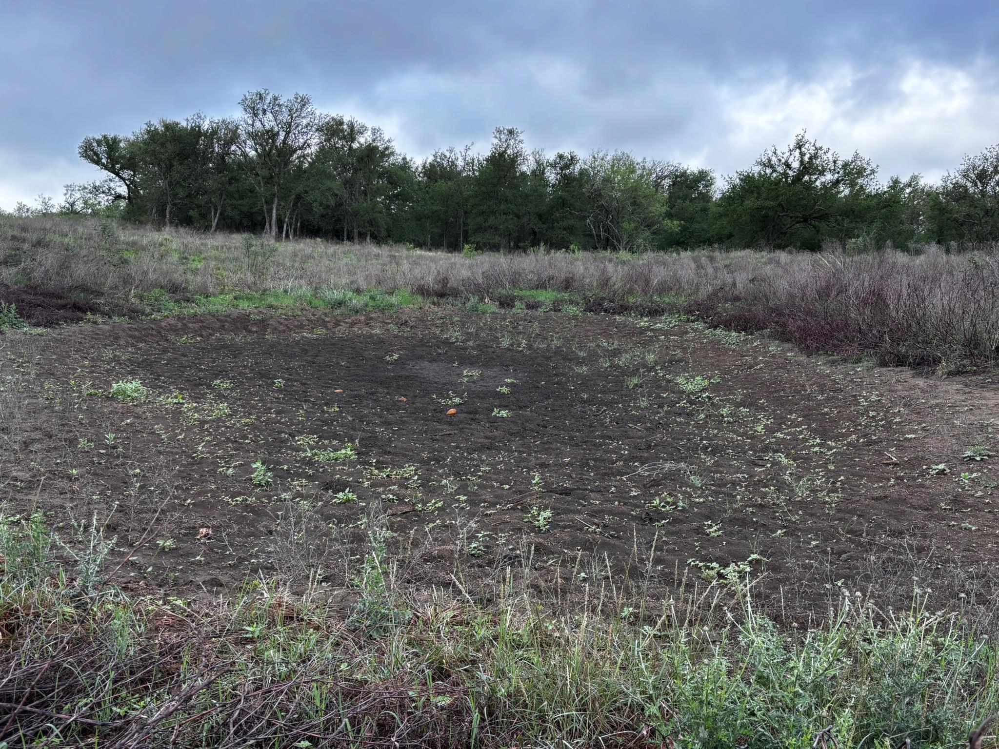 747 County Road 467, Thrall, TX 76578