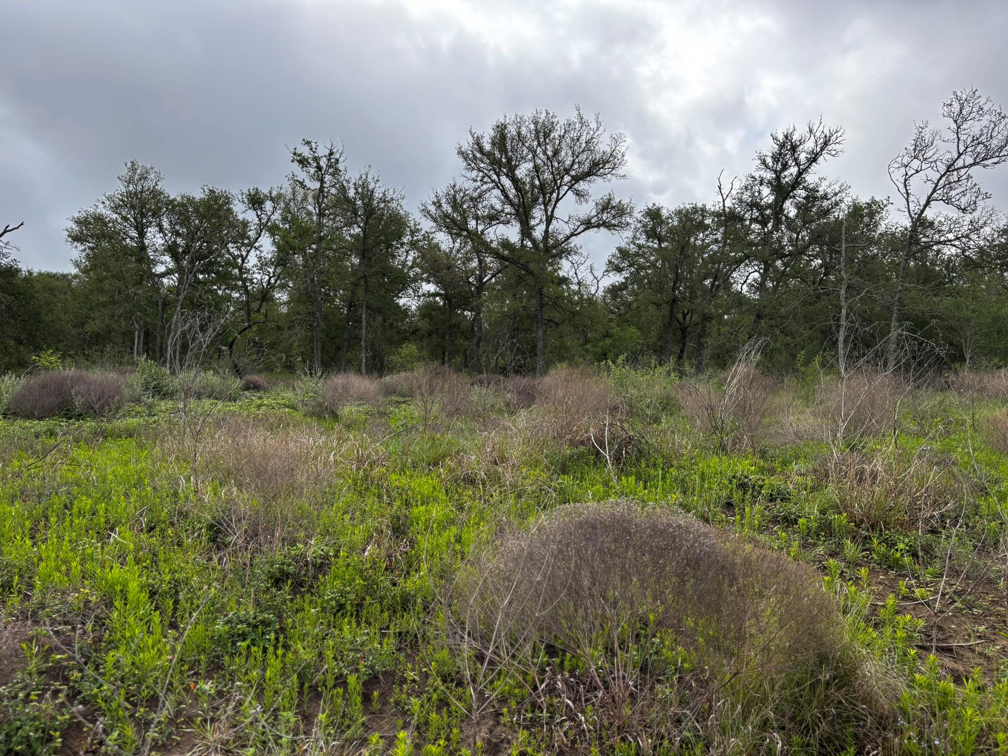 747 County Road 467, Thrall, TX 76578