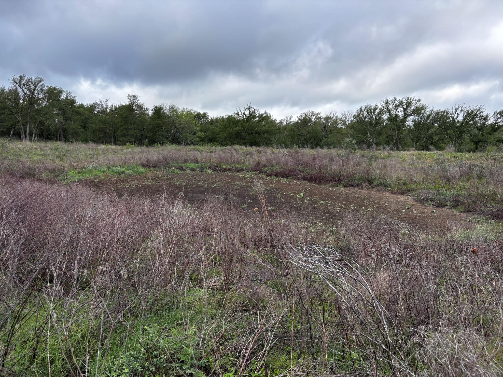 747 County Road 467, Thrall, TX 76578