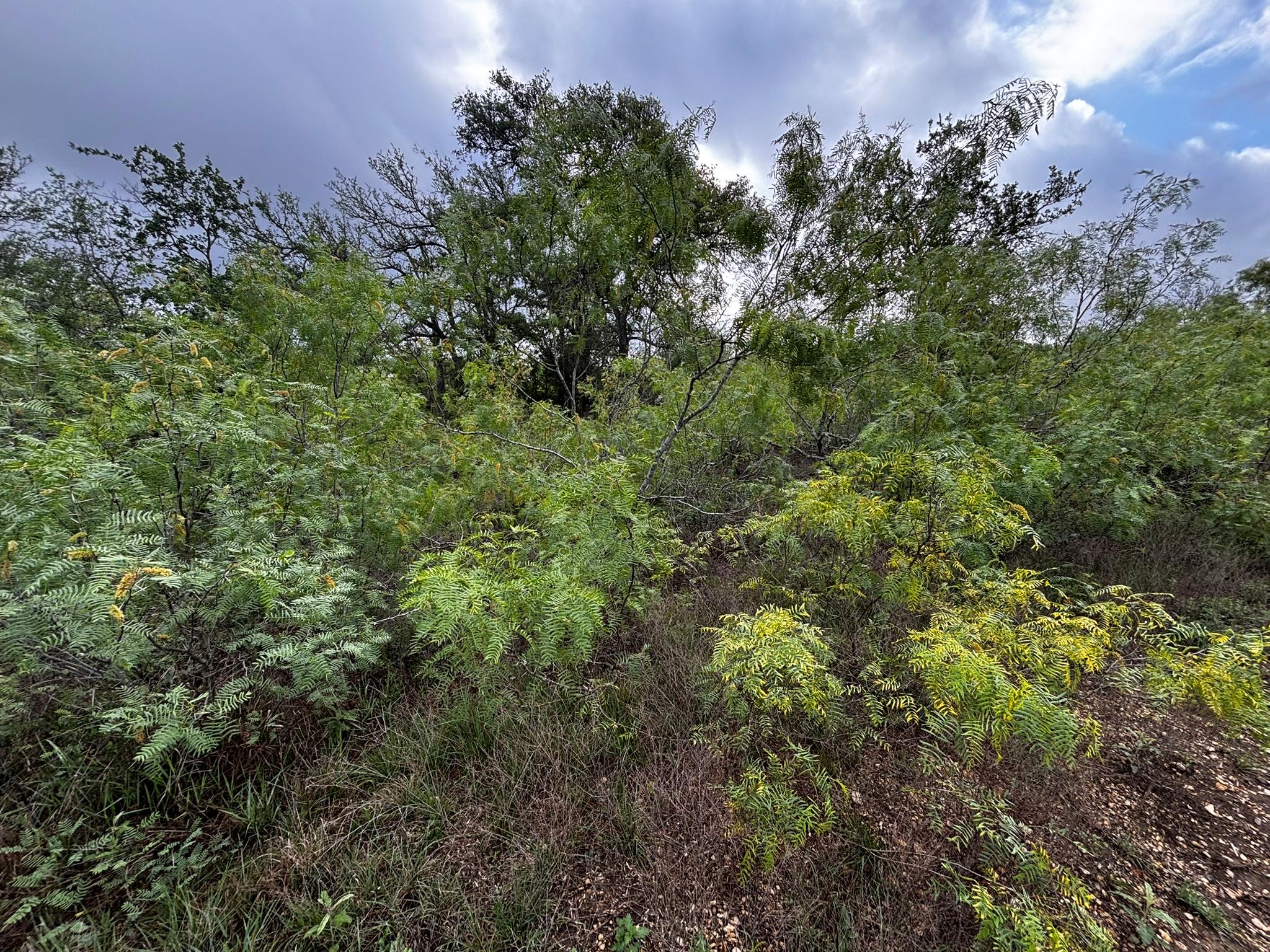 683 County Road 467, Thrall, TX 76578