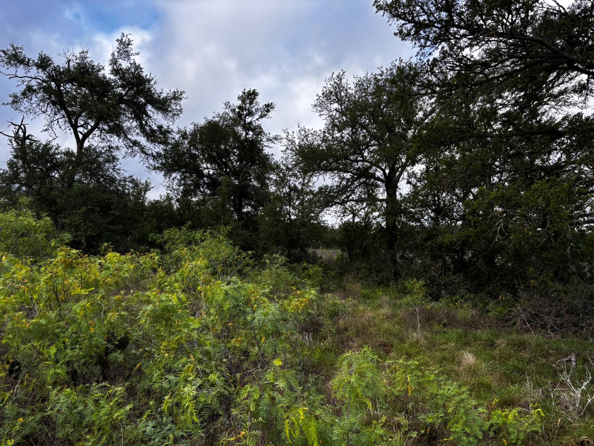 683 County Road 467, Thrall, TX 76578