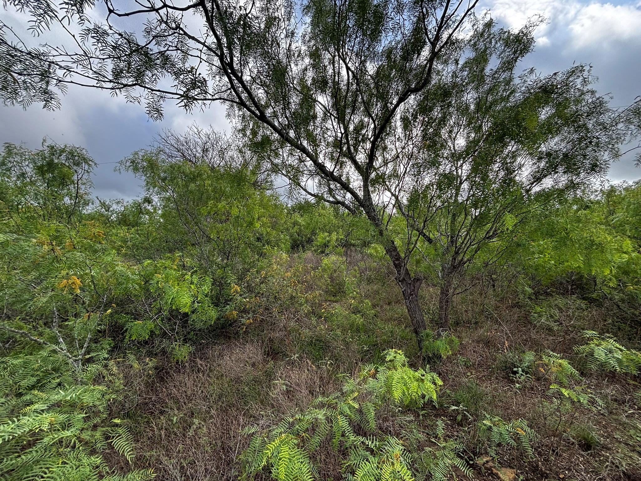 805 County Road 467, Thrall, TX 76578