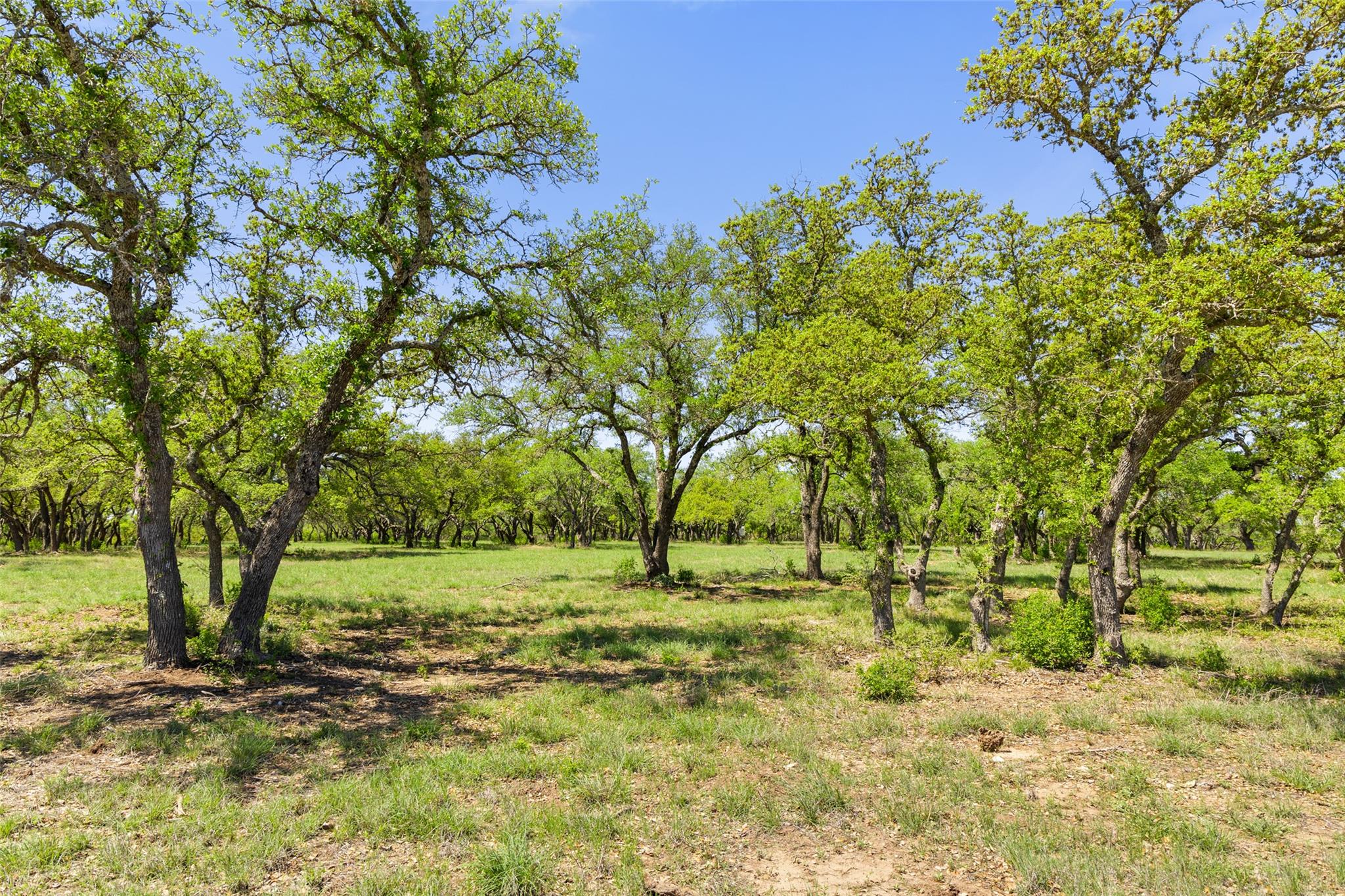 365 Gipson Rd, Johnson City, TX 78636