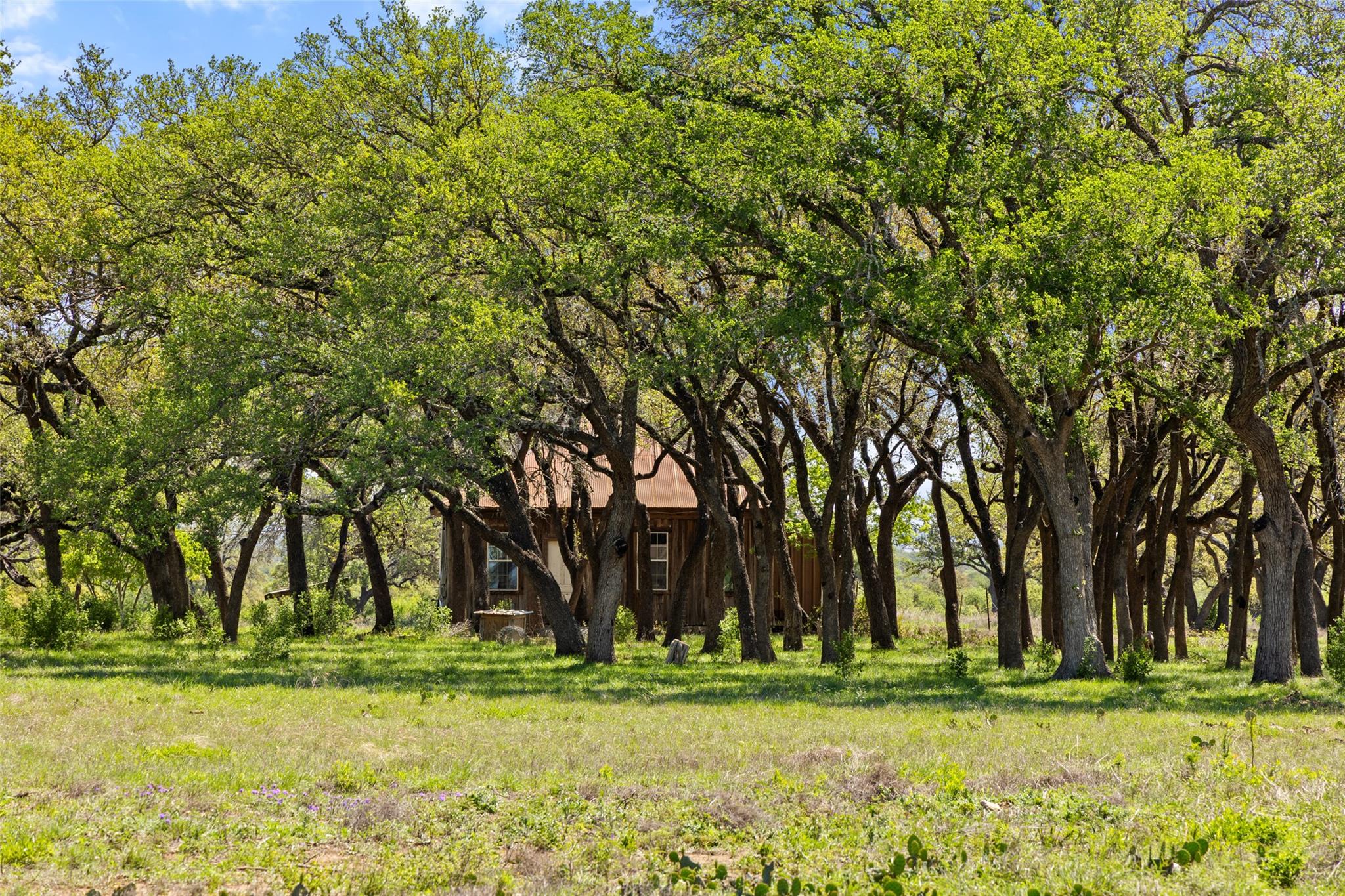 365 Gipson Rd, Johnson City, TX 78636