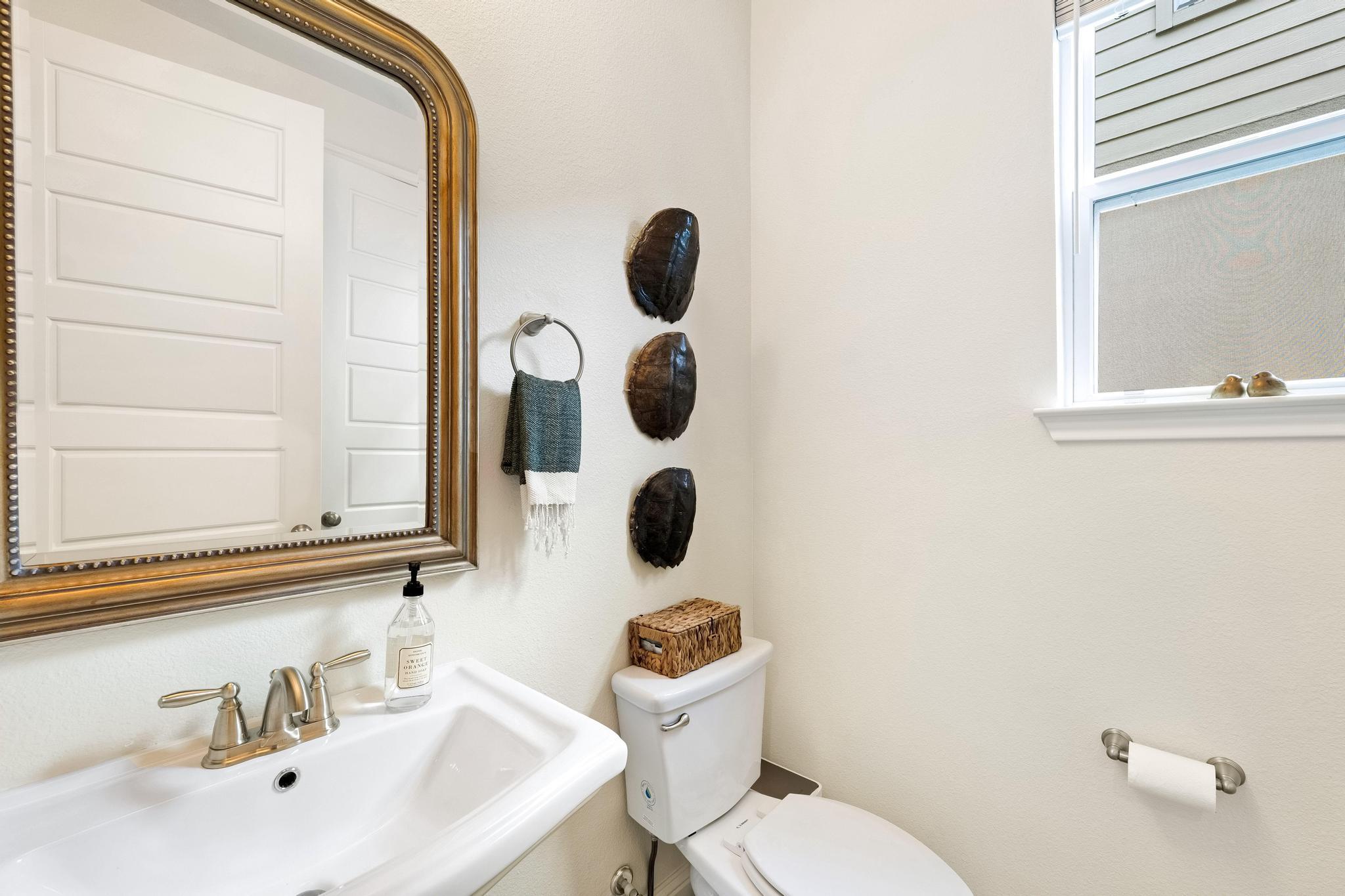 12528 Cardinal Flower Dr, Austin, TX 78739