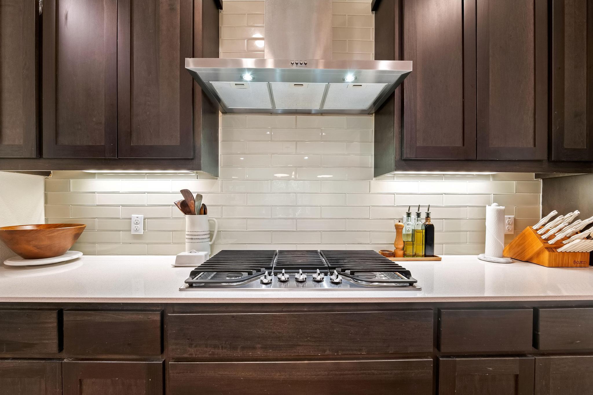 12528 Cardinal Flower Dr, Austin, TX 78739