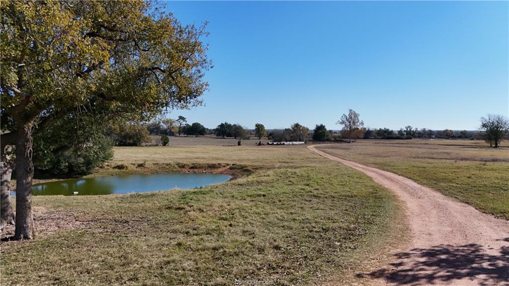 13541 E US Hwy 79 (+/-29 acres), Gause, TX 77857