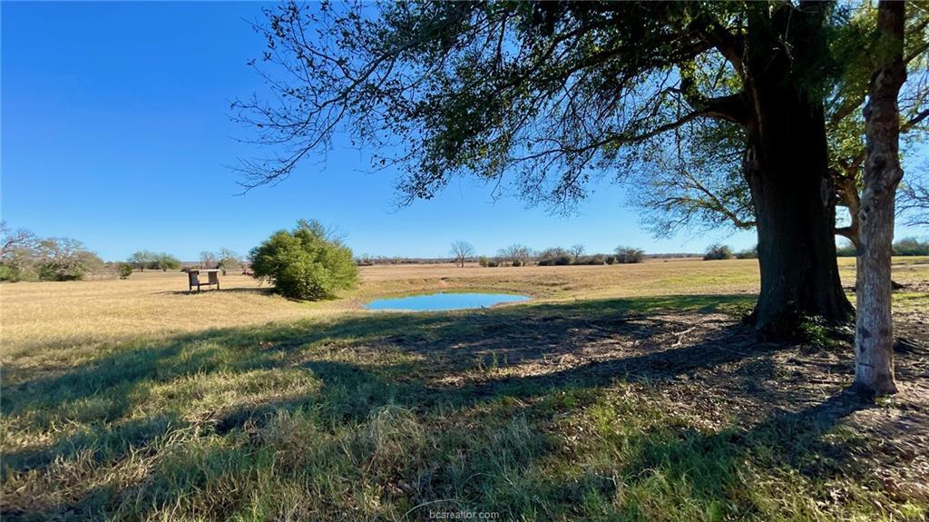 13541 E US Hwy 79 (+/-29 acres), Gause, TX 77857
