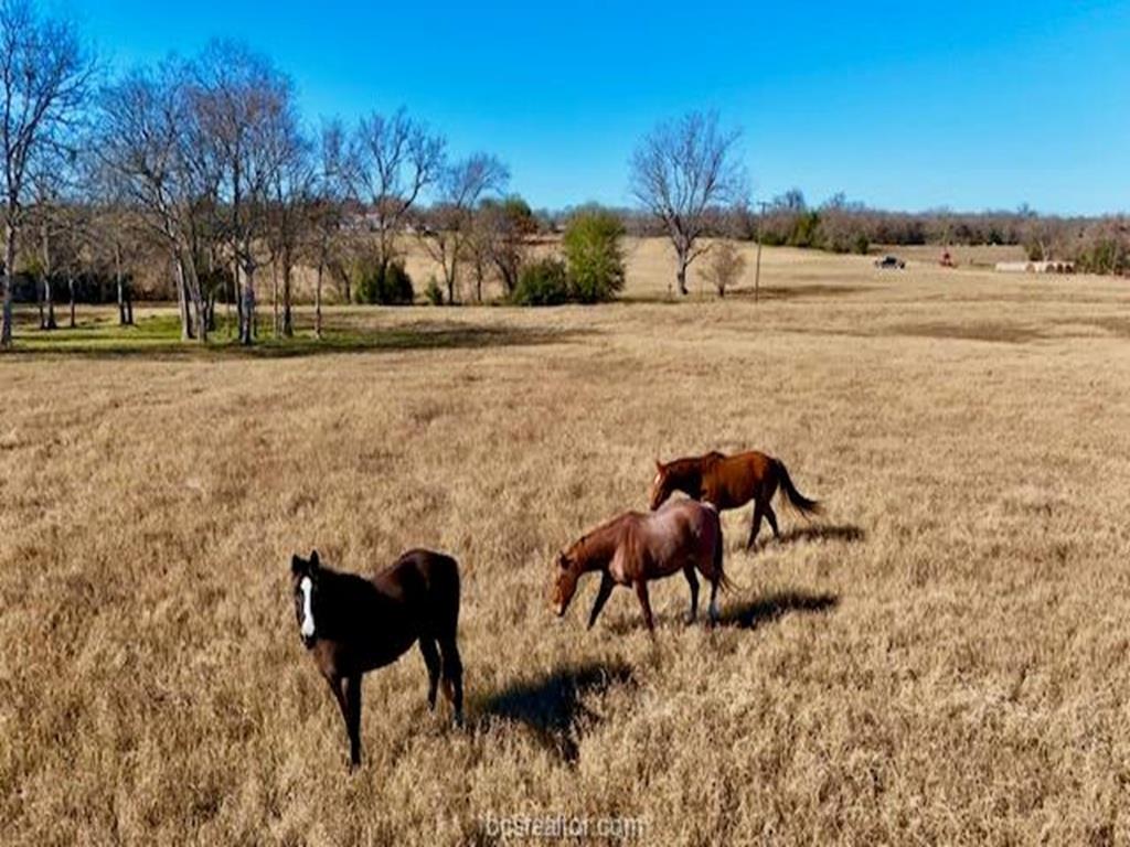 13541 E US Hwy 79 (+/-29 acres), Gause, TX 77857
