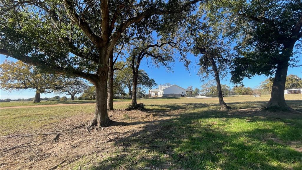 13541 E US Hwy 79 (+/-29 acres), Gause, TX 77857