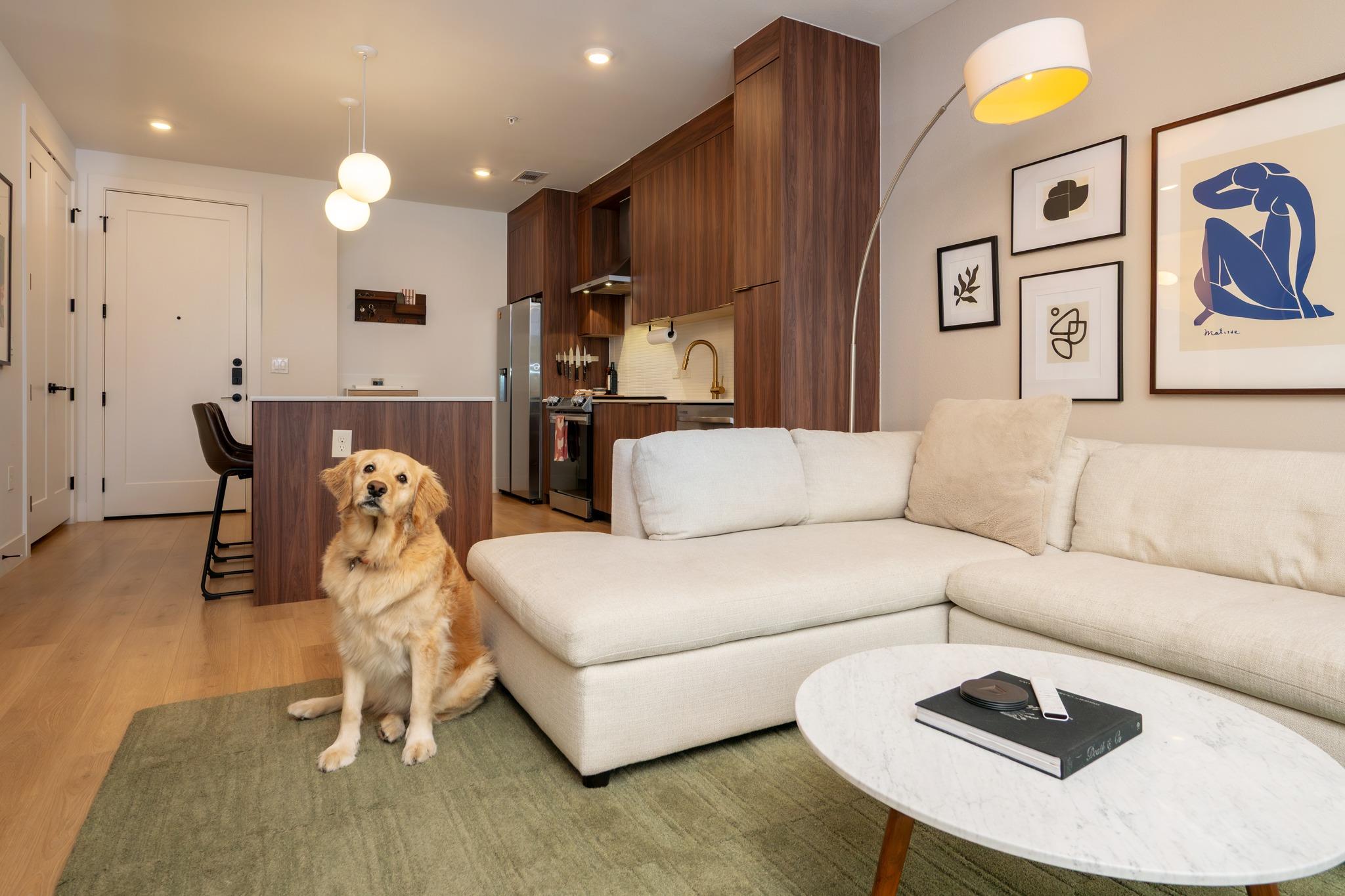 1701 Simond Ave # 215, Austin, TX 78723