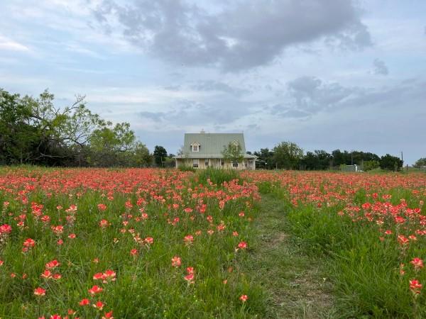 928 Upper Elgin River Rd, Elgin, TX 78621