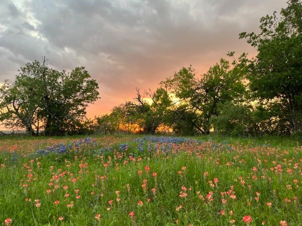 928 Upper Elgin River Rd, Elgin, TX 78621