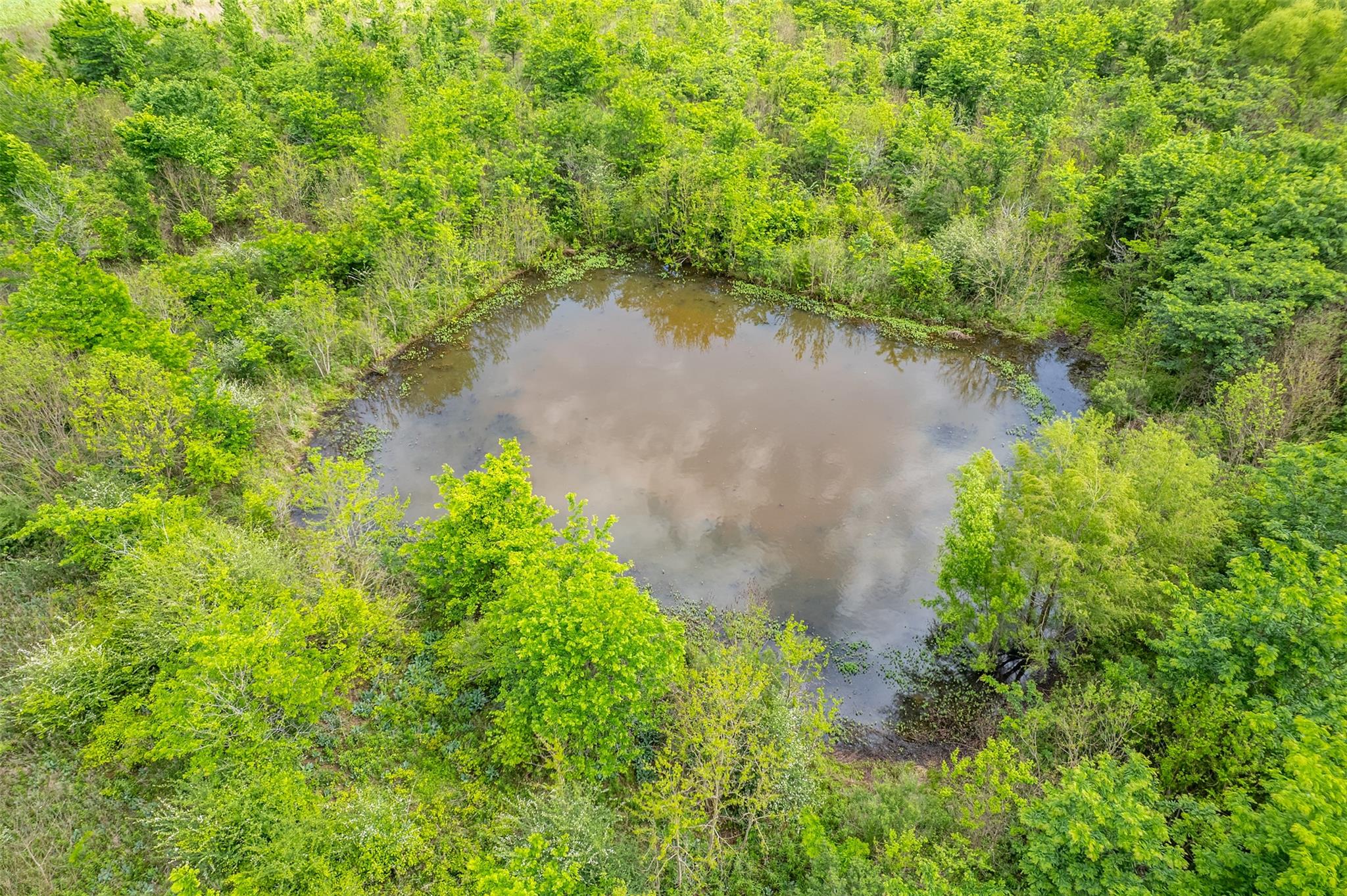 398 Fm 1911 S, Alto, TX 75925