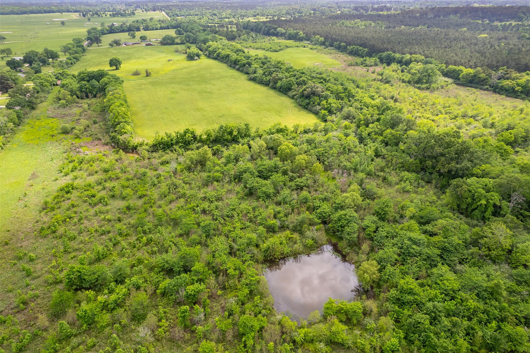 398 Fm 1911 S, Alto, TX 75925