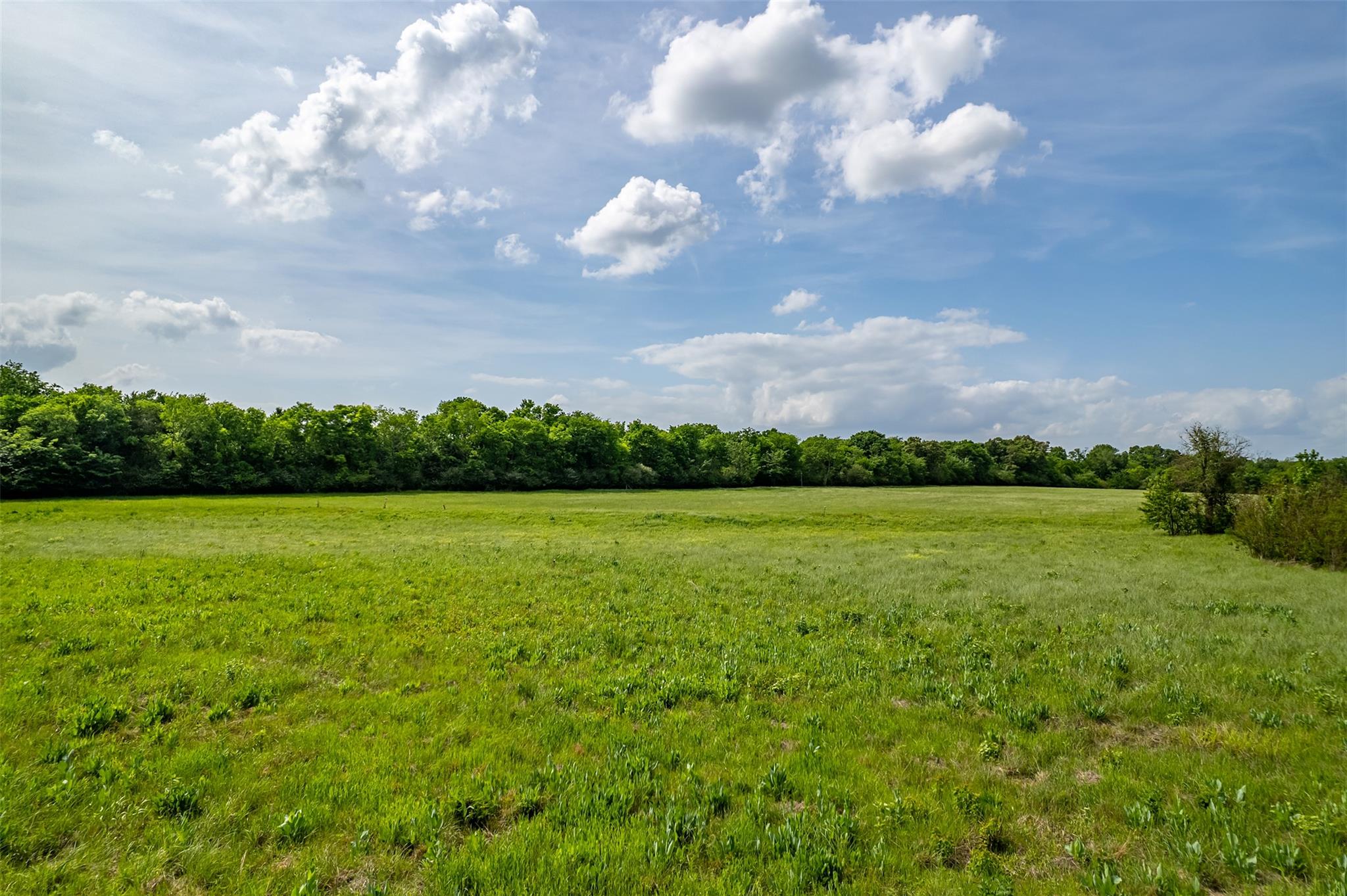 398 Fm 1911 S, Alto, TX 75925