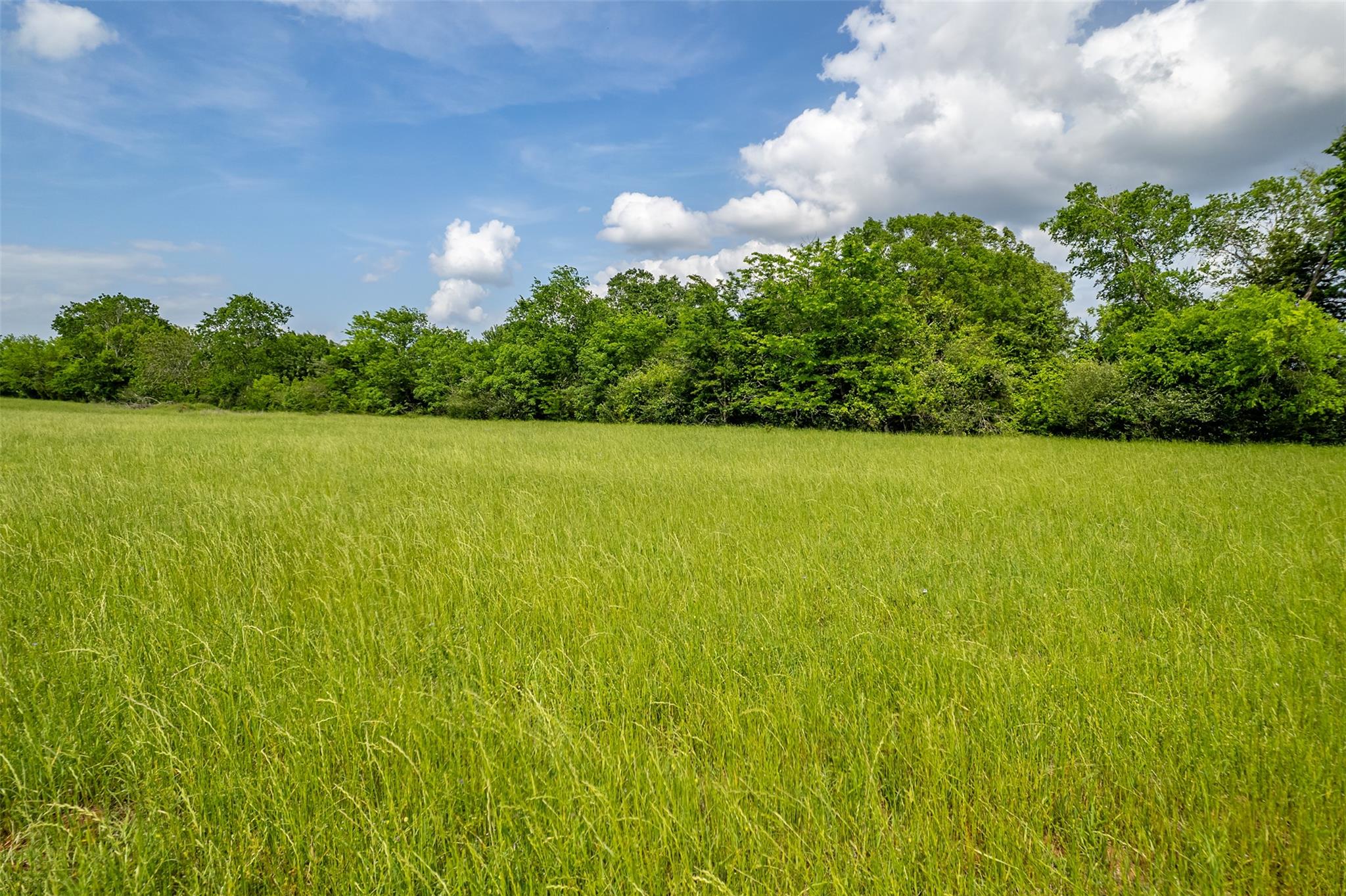 398 Fm 1911 S, Alto, TX 75925