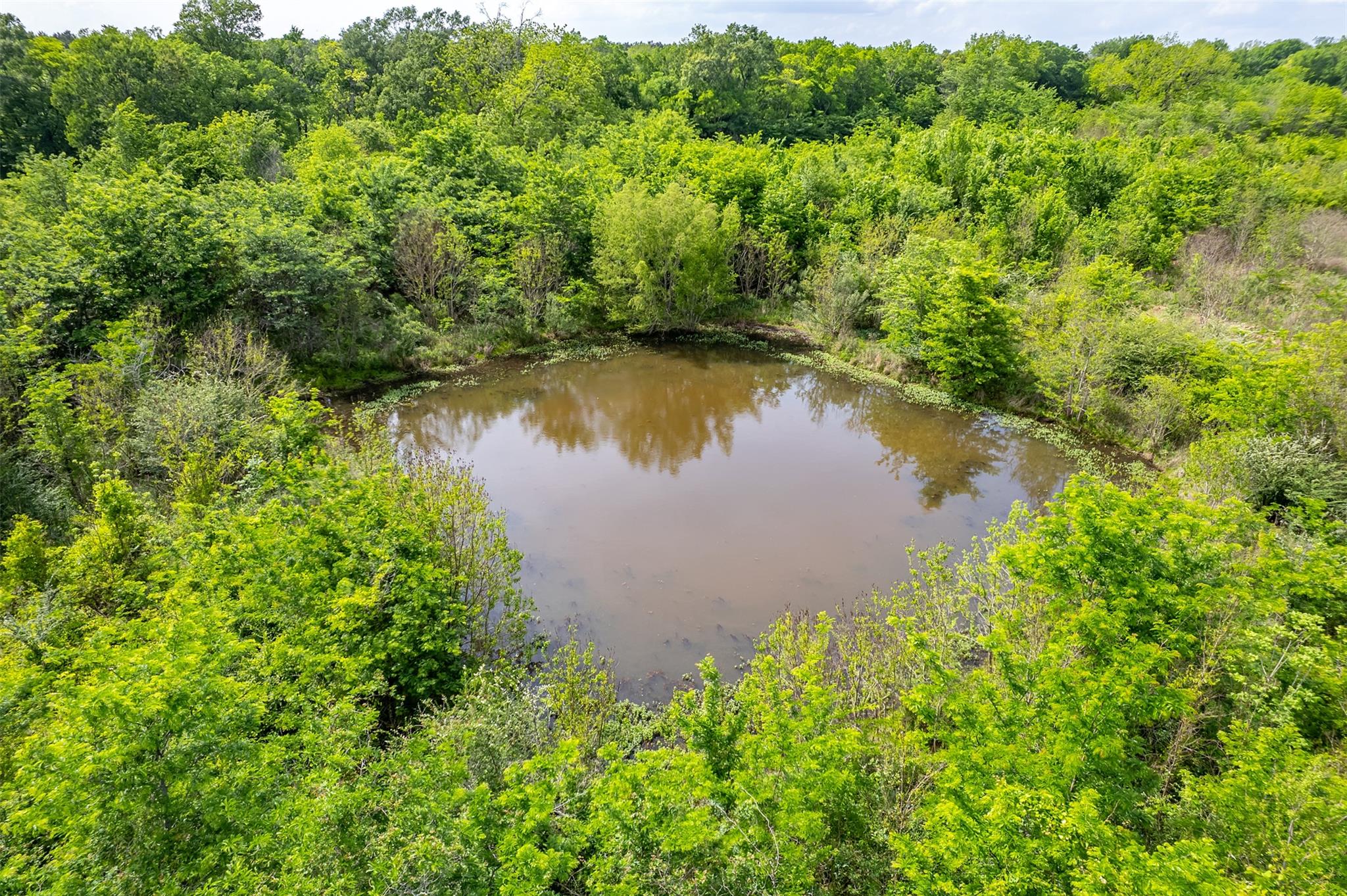 398 Fm 1911 S, Alto, TX 75925