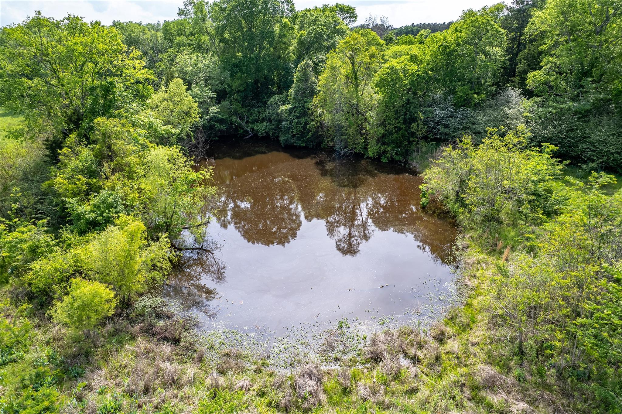 398 Fm 1911 S, Alto, TX 75925