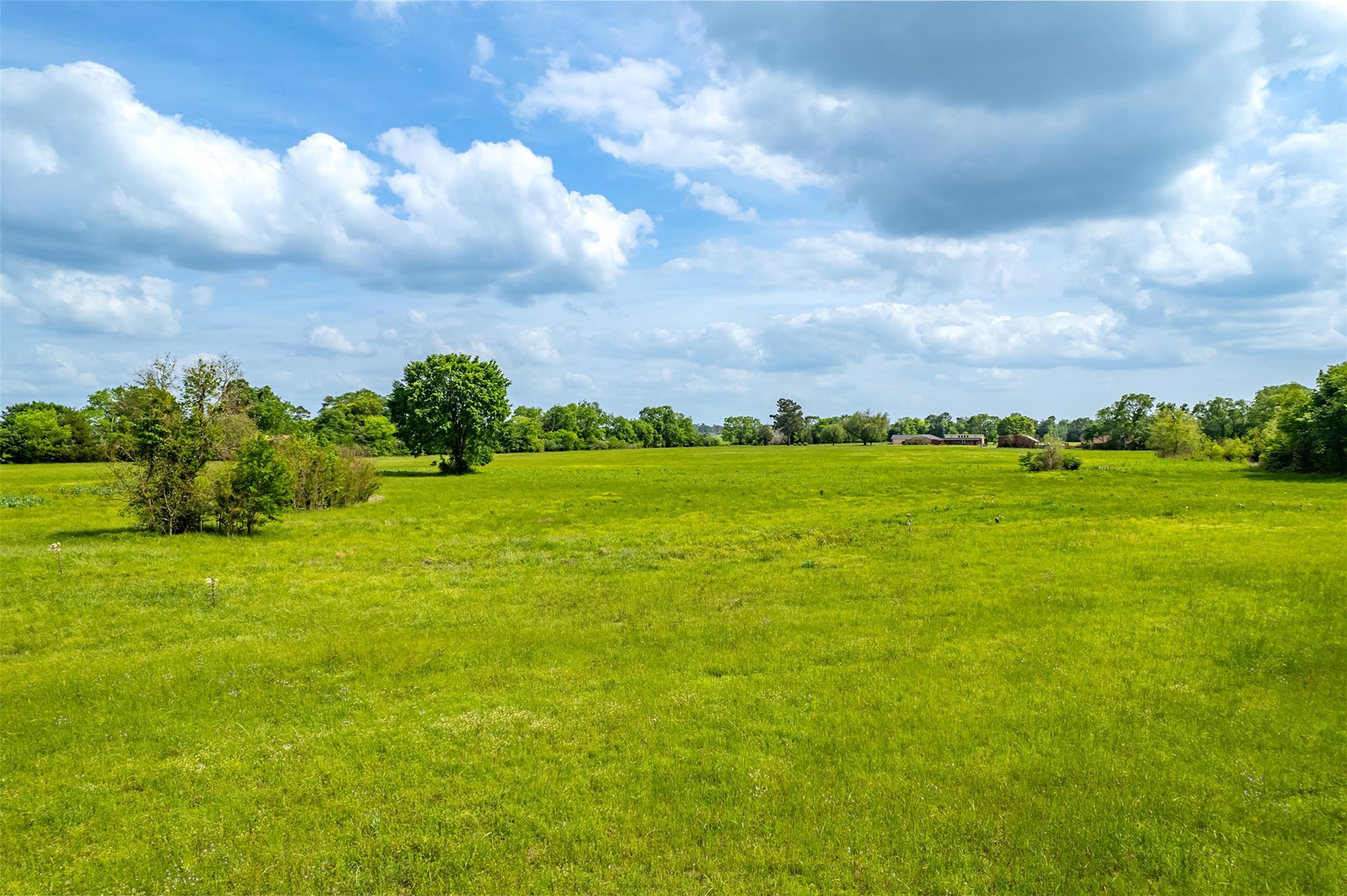 398 Fm 1911 S, Alto, TX 75925