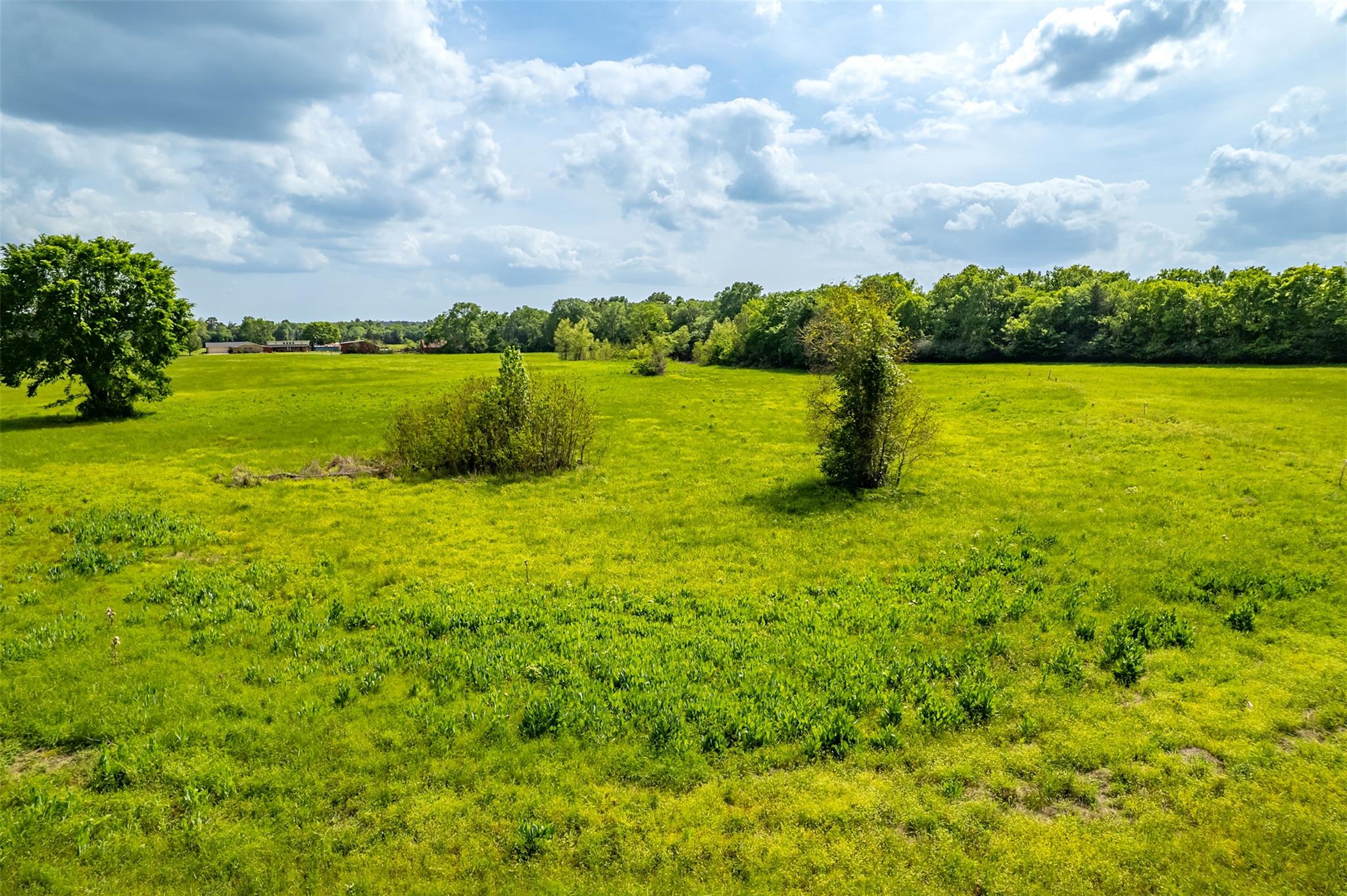 398 Fm 1911 S, Alto, TX 75925