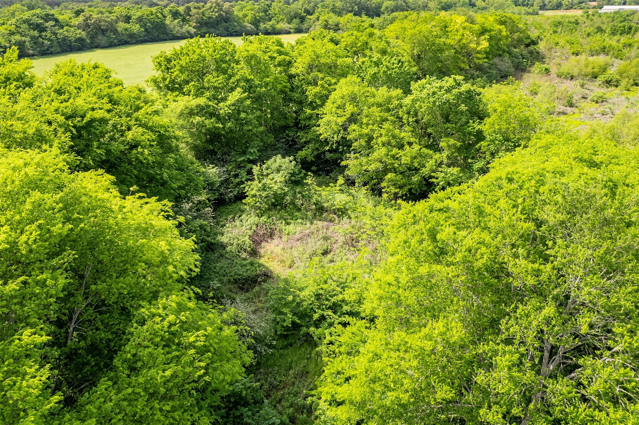 398 Fm 1911 S, Alto, TX 75925