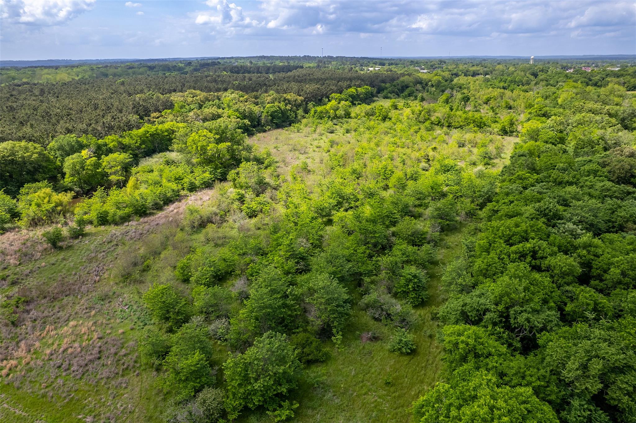 398 Fm 1911 S, Alto, TX 75925