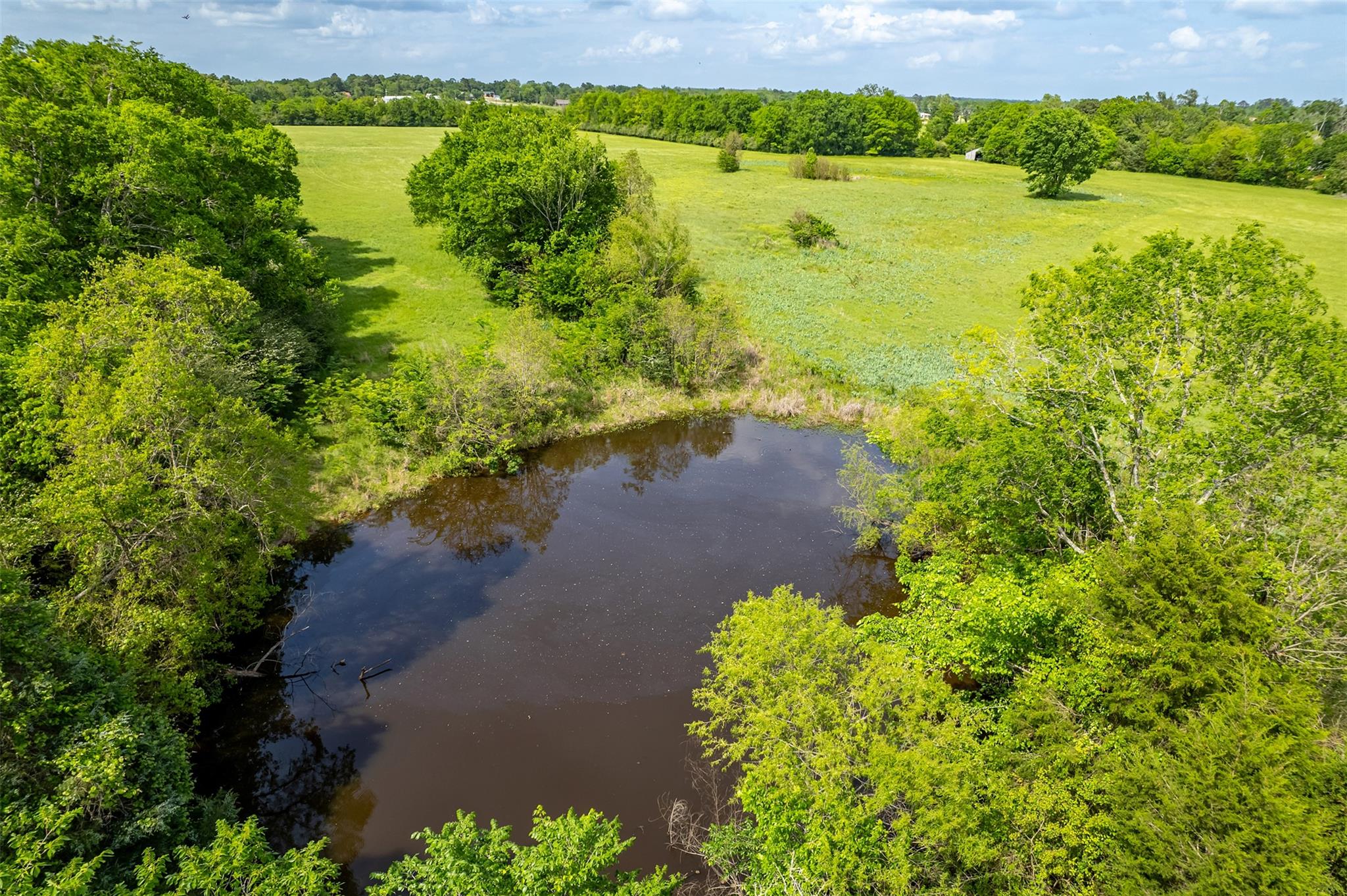 398 Fm 1911 S, Alto, TX 75925