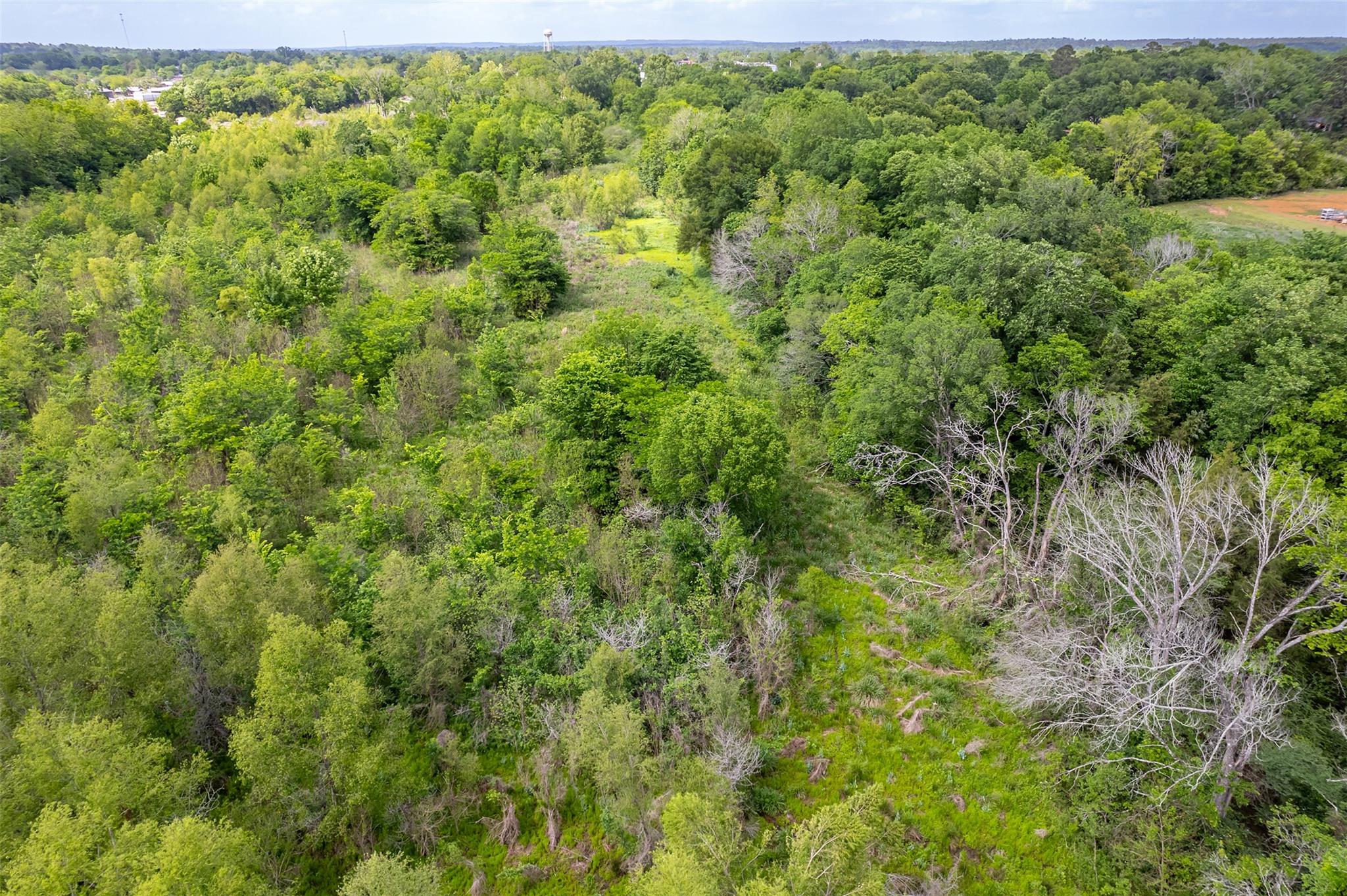 398 Fm 1911 S, Alto, TX 75925