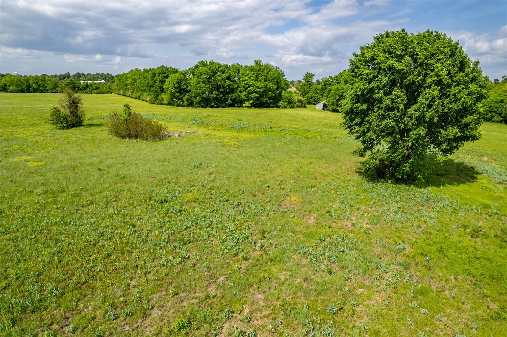 398 Fm 1911 S, Alto, TX 75925