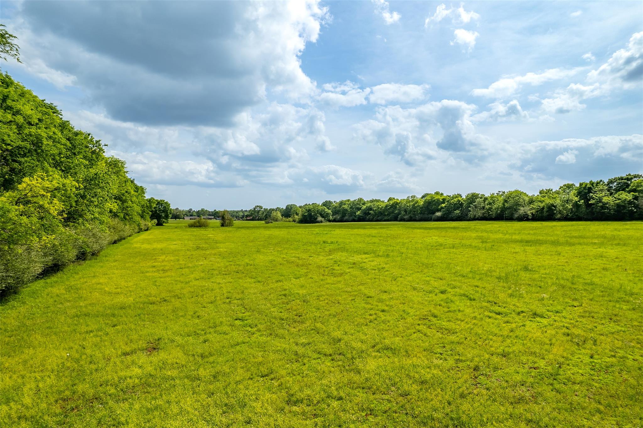 398 Fm 1911 S, Alto, TX 75925