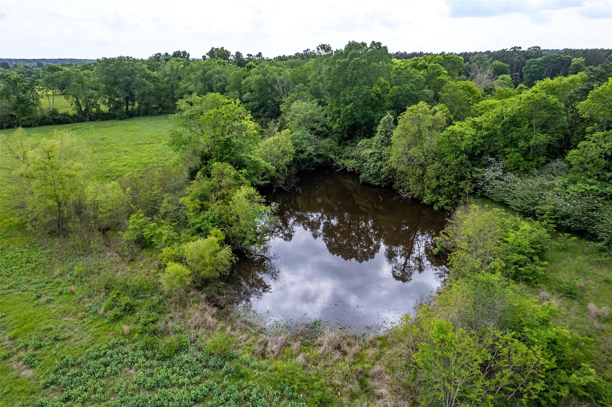 398 Fm 1911 S, Alto, TX 75925