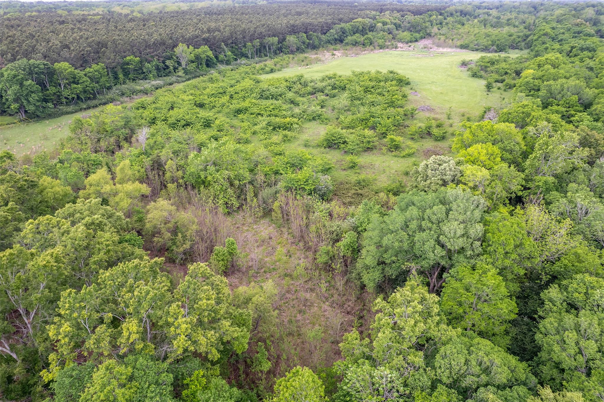 398 Fm 1911 S, Alto, TX 75925