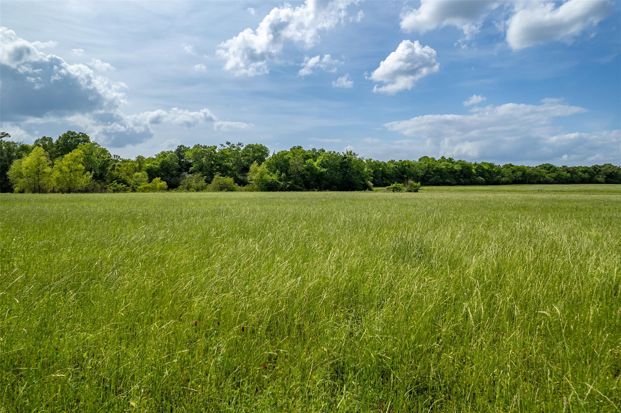 398 Fm 1911 S, Alto, TX 75925