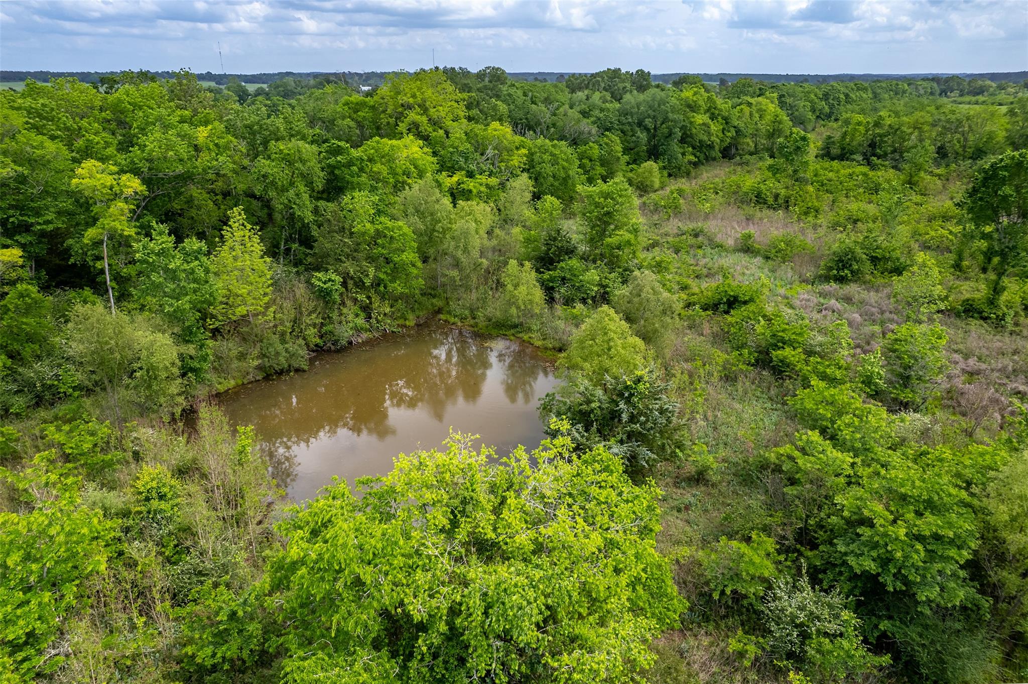 398 Fm 1911 S, Alto, TX 75925