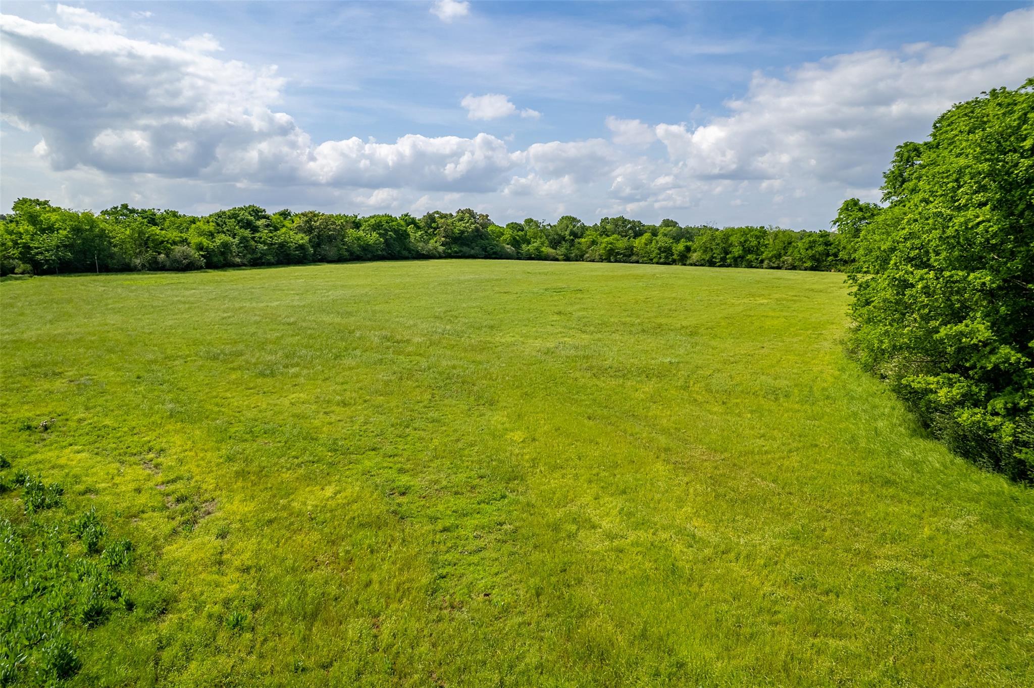 398 Fm 1911 S, Alto, TX 75925