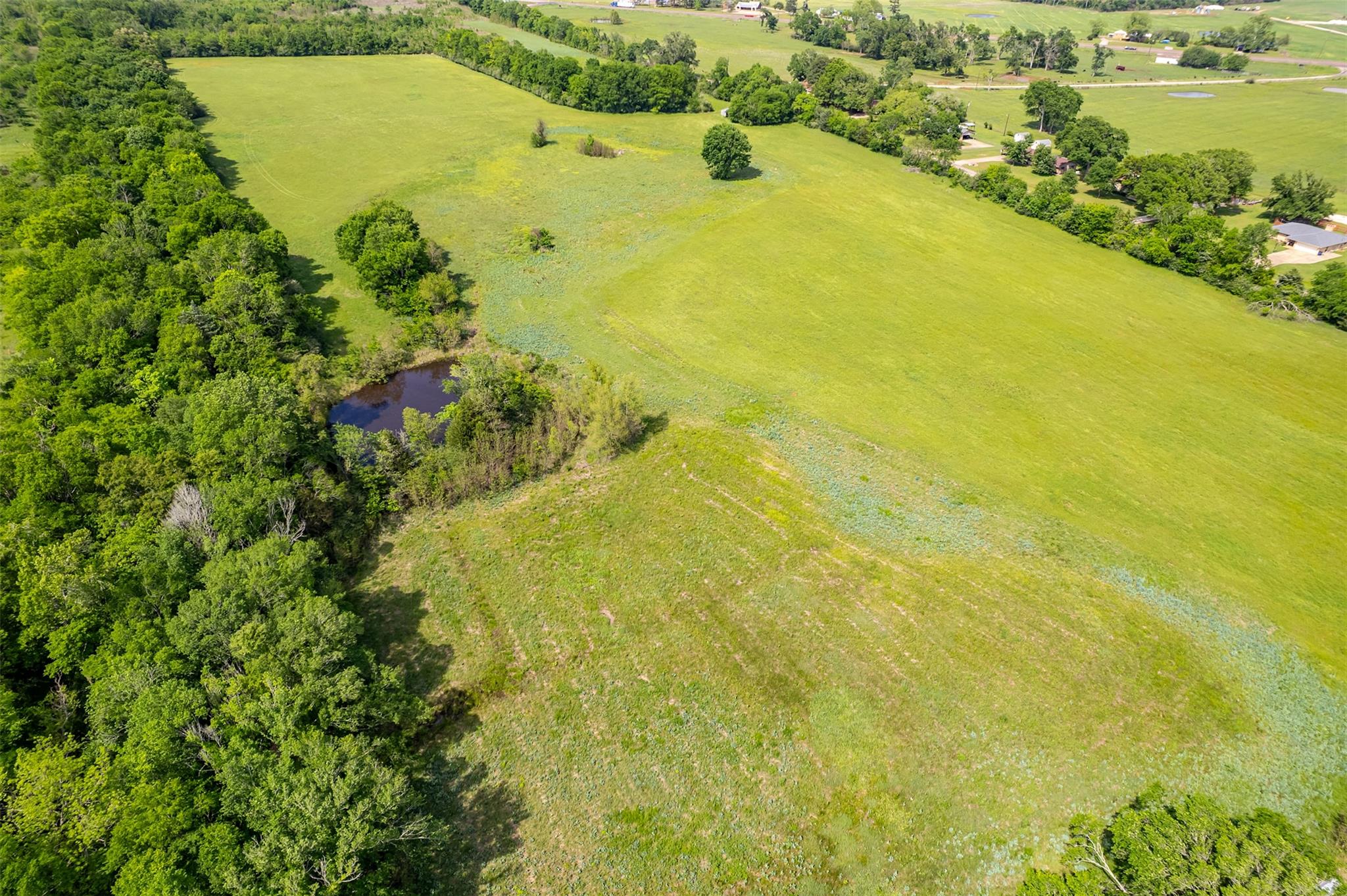 398 Fm 1911 S, Alto, TX 75925