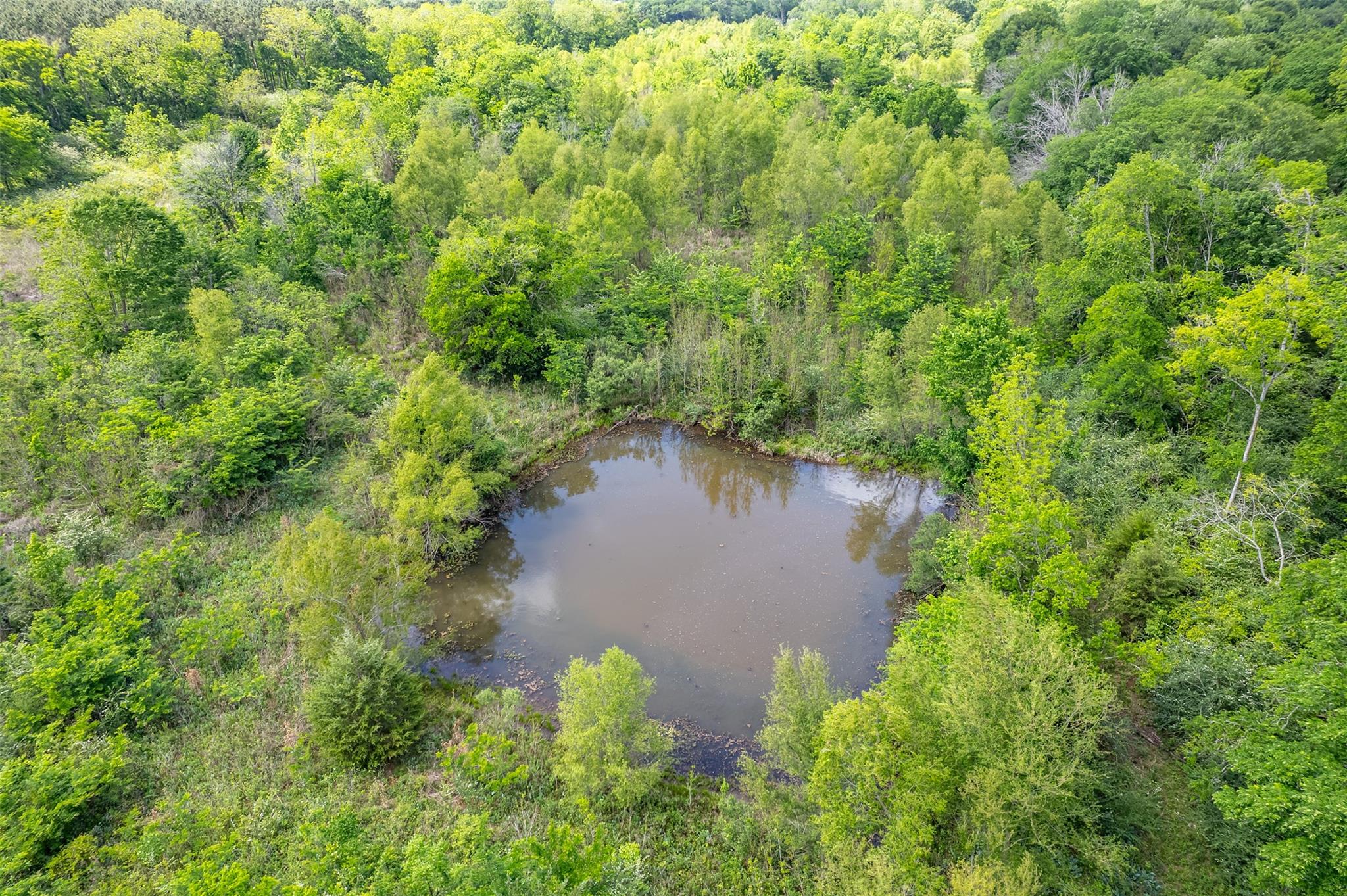 398 Fm 1911 S, Alto, TX 75925