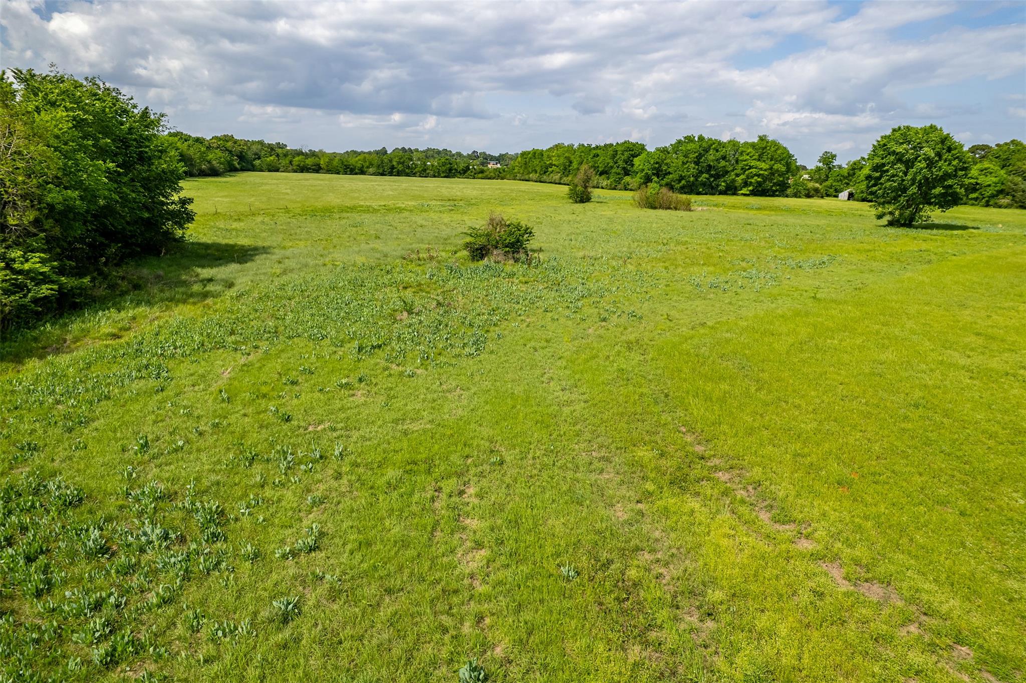 398 Fm 1911 S, Alto, TX 75925