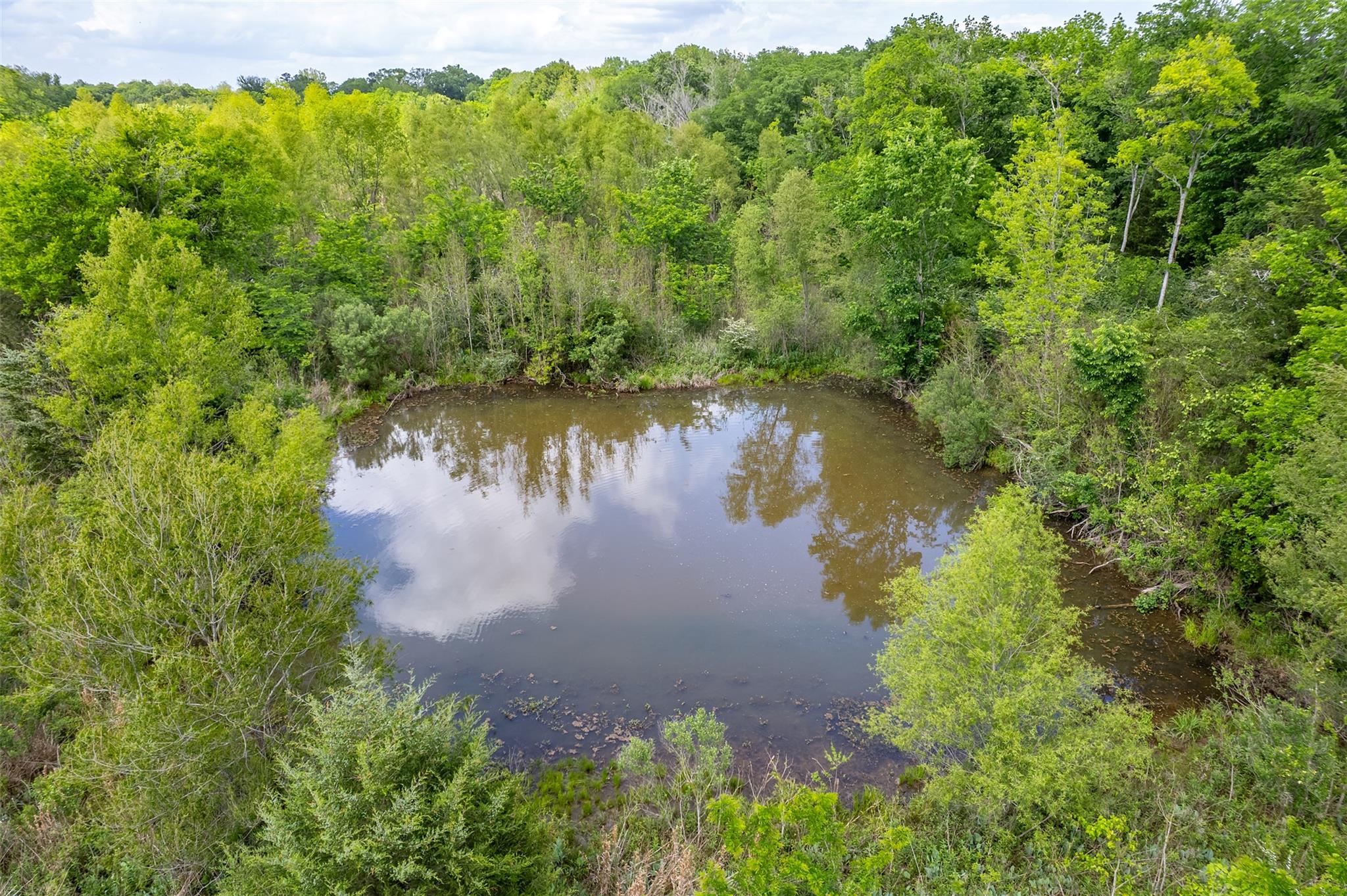 398 Fm 1911 S, Alto, TX 75925