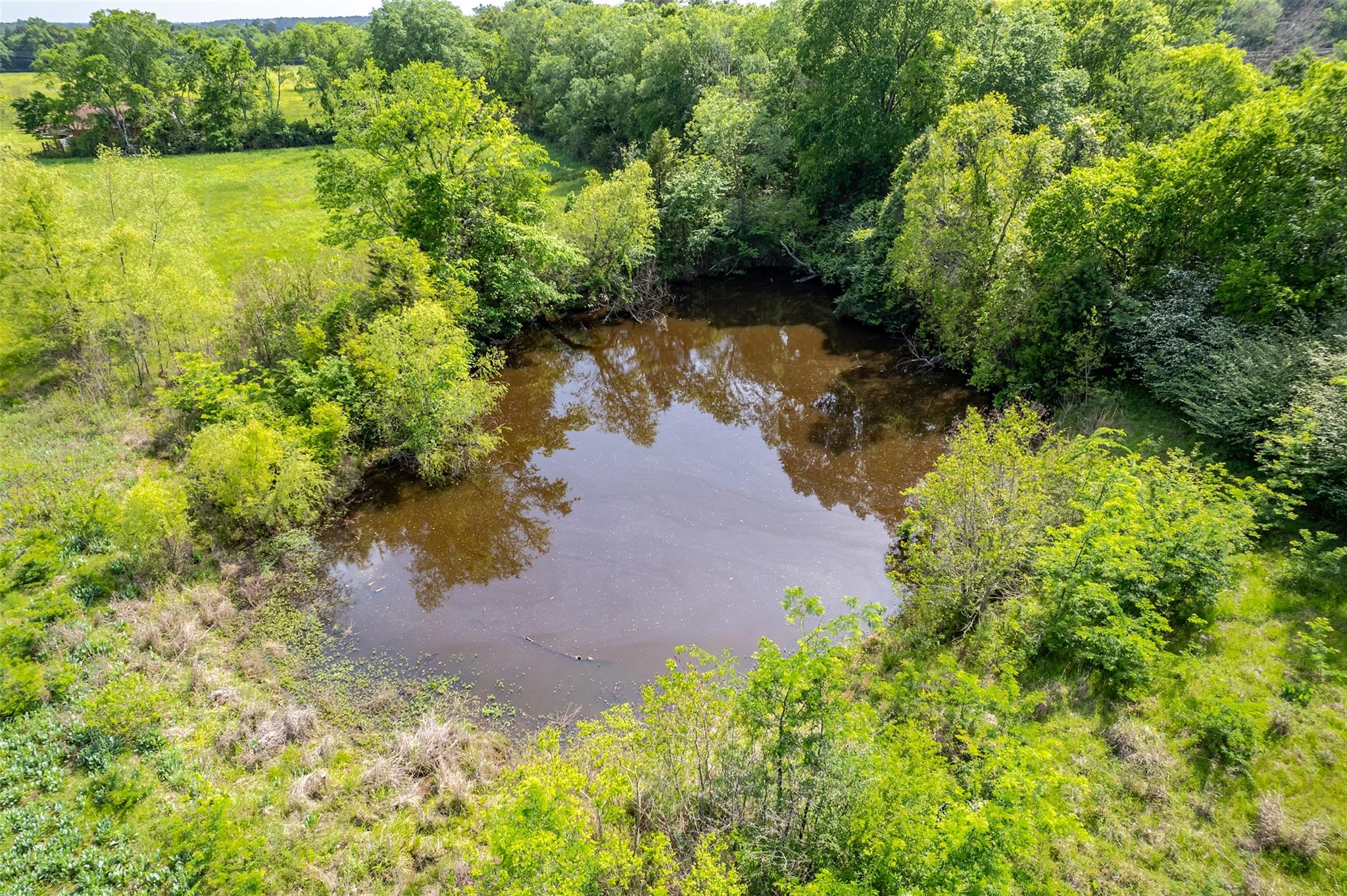 398 Fm 1911 S, Alto, TX 75925