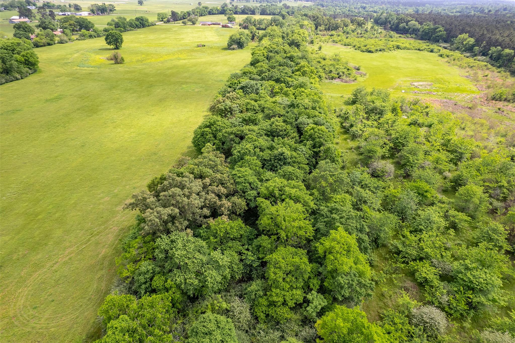 398 Fm 1911 S, Alto, TX 75925