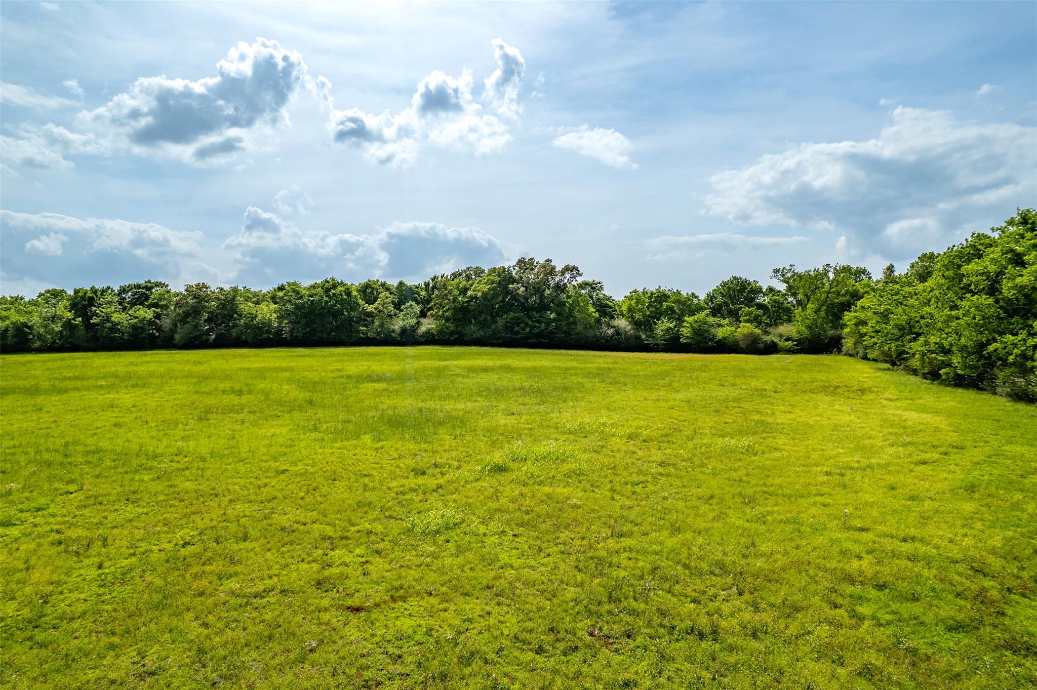 398 Fm 1911 S, Alto, TX 75925