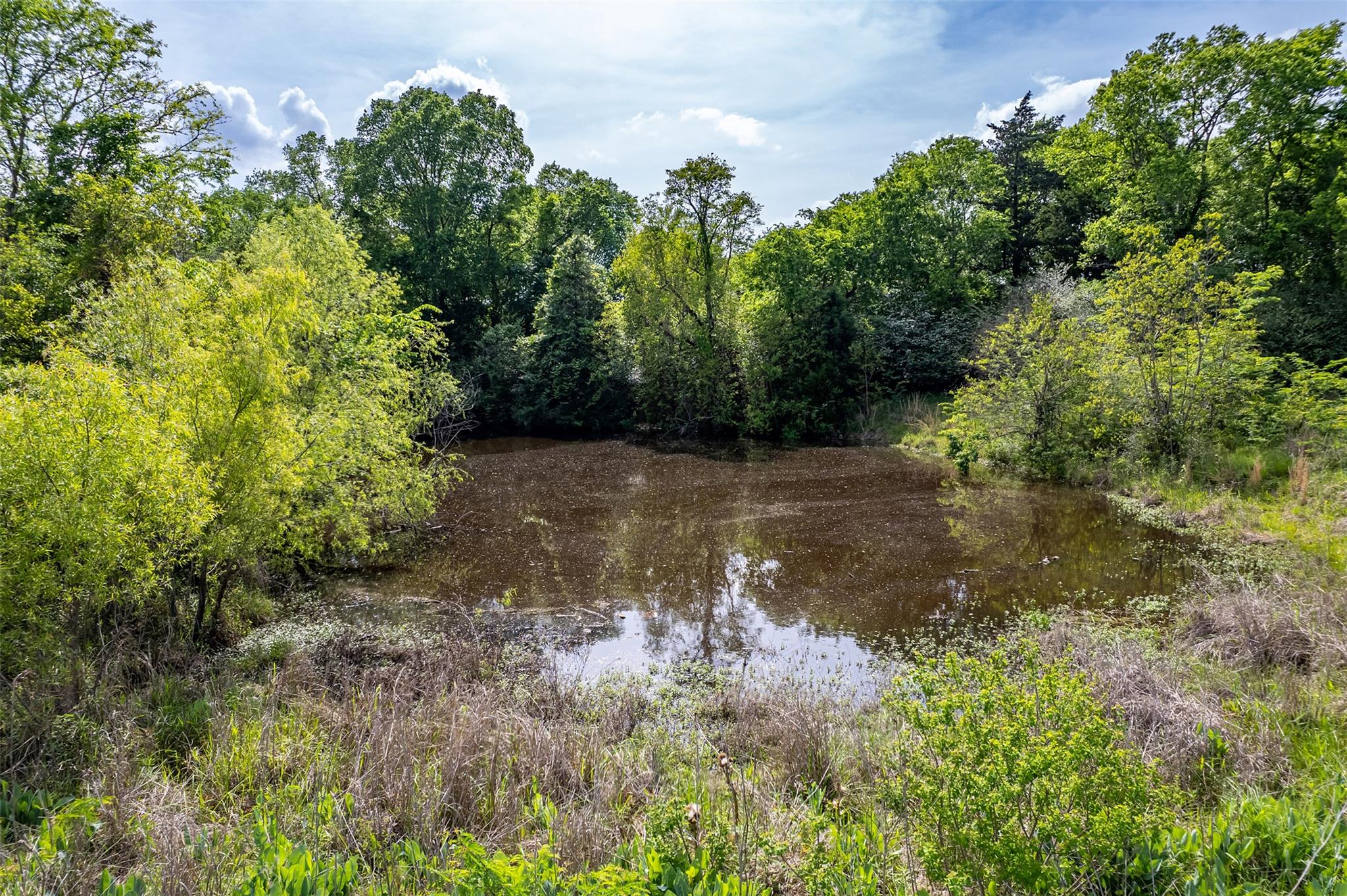 398 Fm 1911 S, Alto, TX 75925