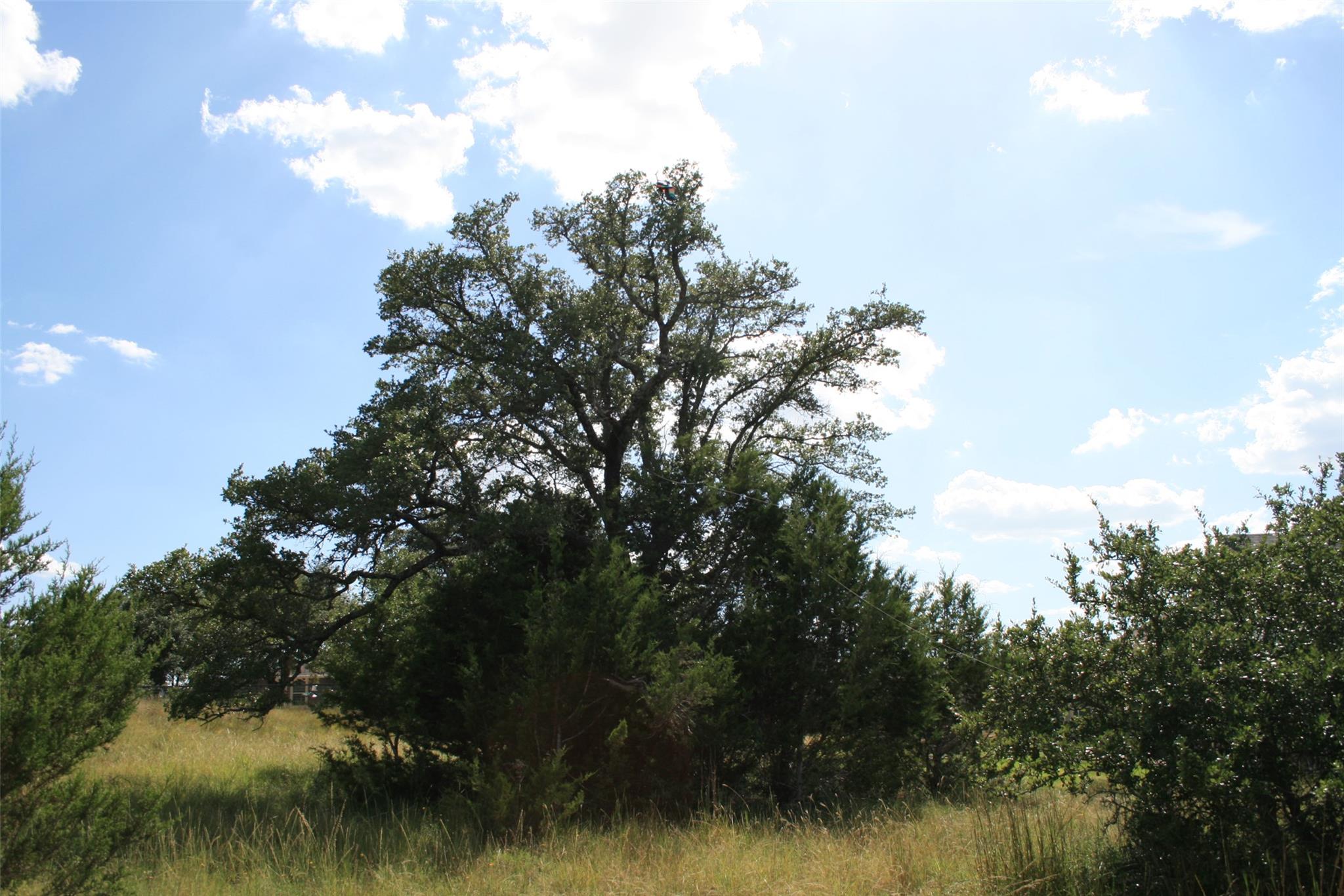 137 W Pat Dolan, Blanco, TX 78606