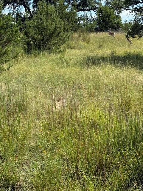 137 W Pat Dolan, Blanco, TX 78606