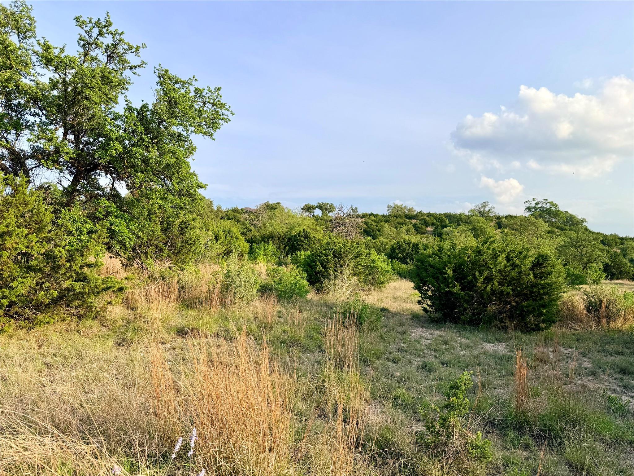 Lot 13 Spies Ridge Dr N, Fredericksburg, TX 78624