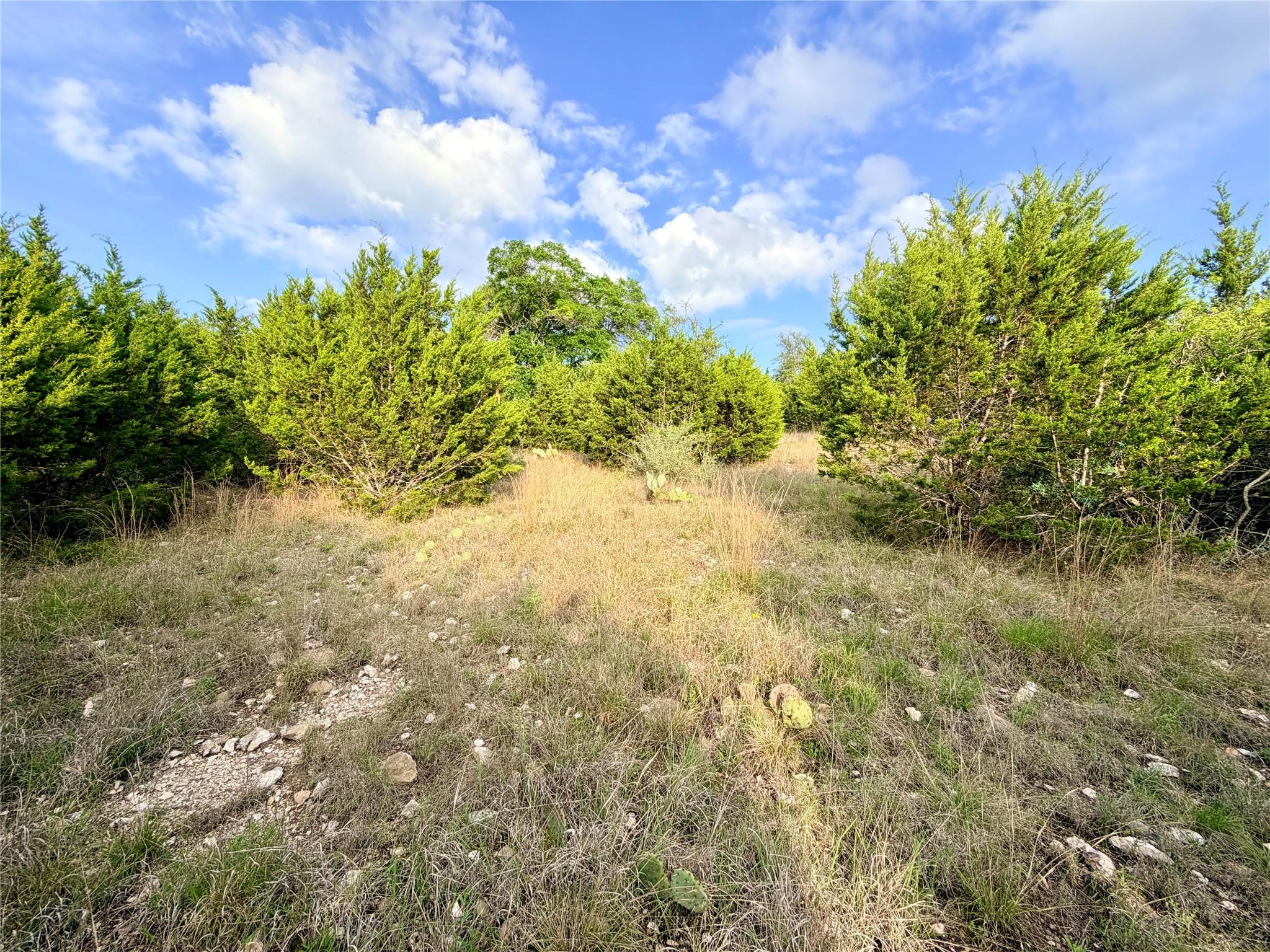 Lot 13 Spies Ridge Dr N, Fredericksburg, TX 78624